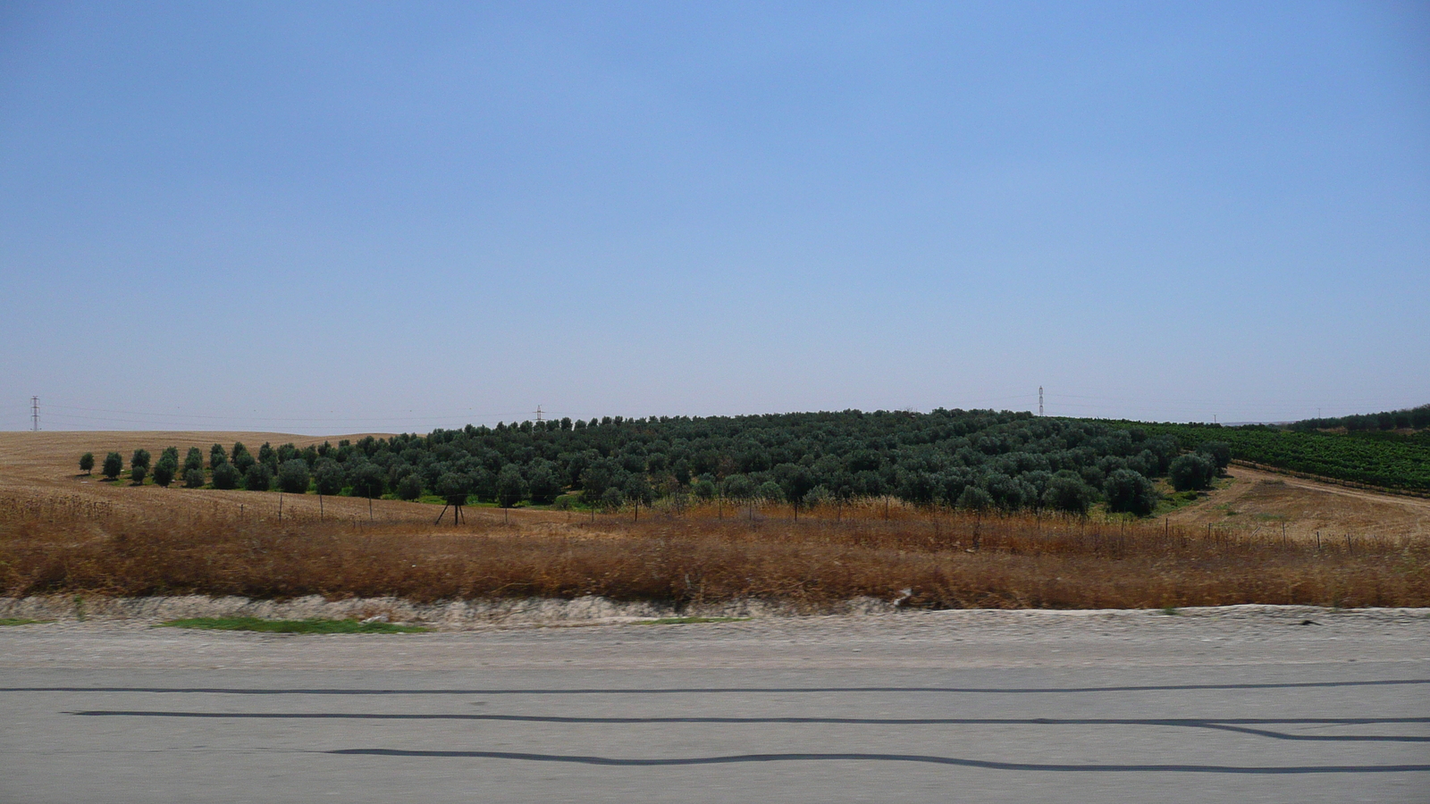 รูปถ่าย อิสราเอล(Israel) ถนนจากอัชเคลอนไปอาราด(Ashkelon to Arad road) 2007-06 203