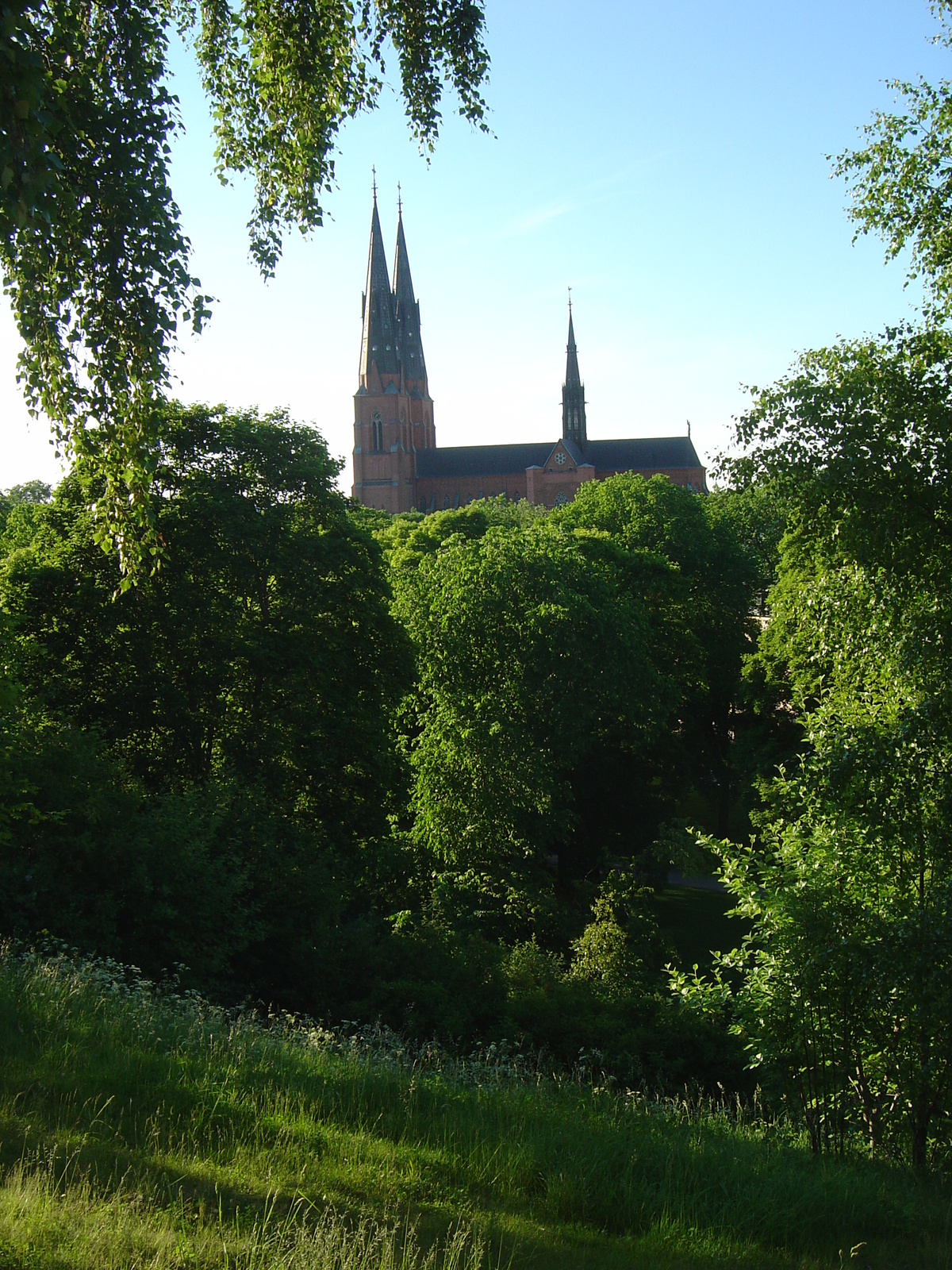 รูปถ่าย สวีเดน(Sweden) อัปป์ซาลา(Uppsala) 2005-06 69