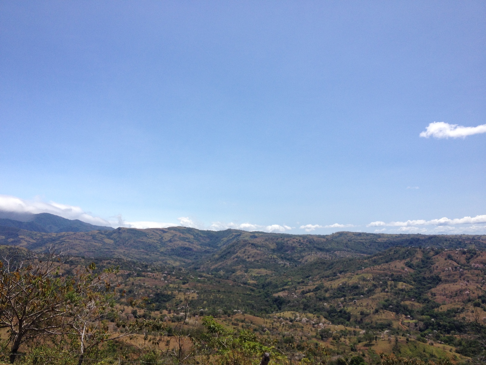รูปถ่าย ปานามา(Panama) จากดาบิดไปโบกัสเดลโตโร(David to Bocas del toro) 2015-03 21