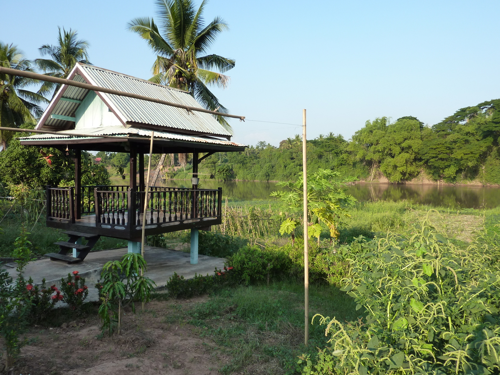 รูปถ่าย ไทย(Thailand) พิษณุโลก(Phitsanulok) จอมทอง(Chom Thong) 2009-12 27