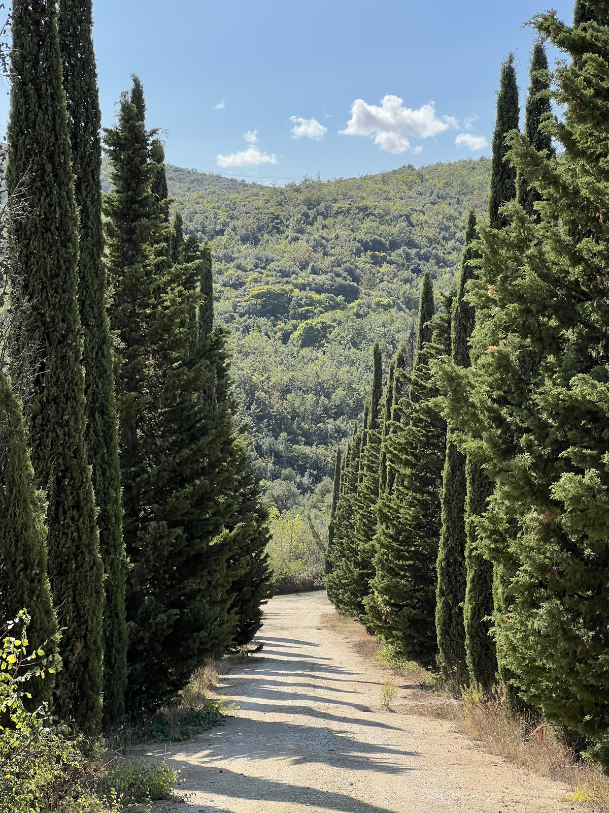 รูปถ่าย อิตาลี(Italy) ทัสคานี(Tuscany) 2021-09 19