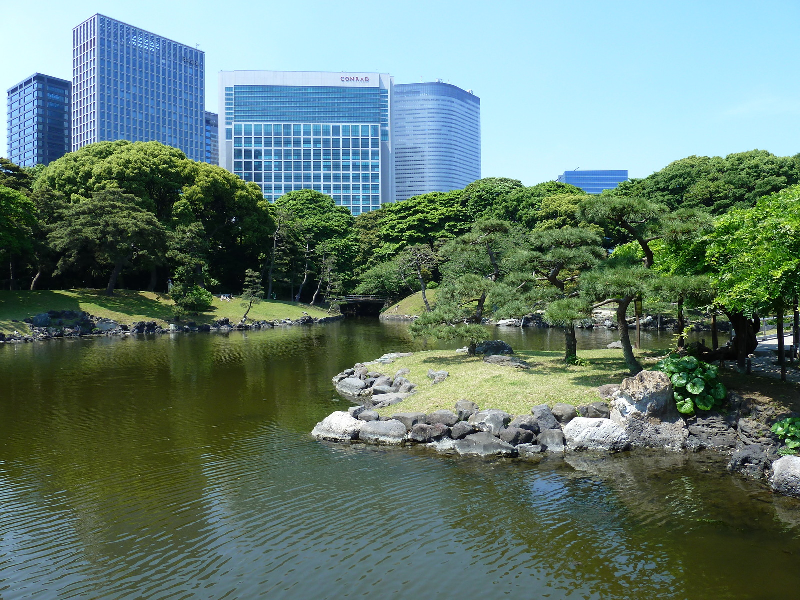 รูปถ่าย ญี่ปุ่น(Japan) โตเกียว(Tokyo) สวนฮามะริคิว(Hama rikyu Gardens) 2010-06 66