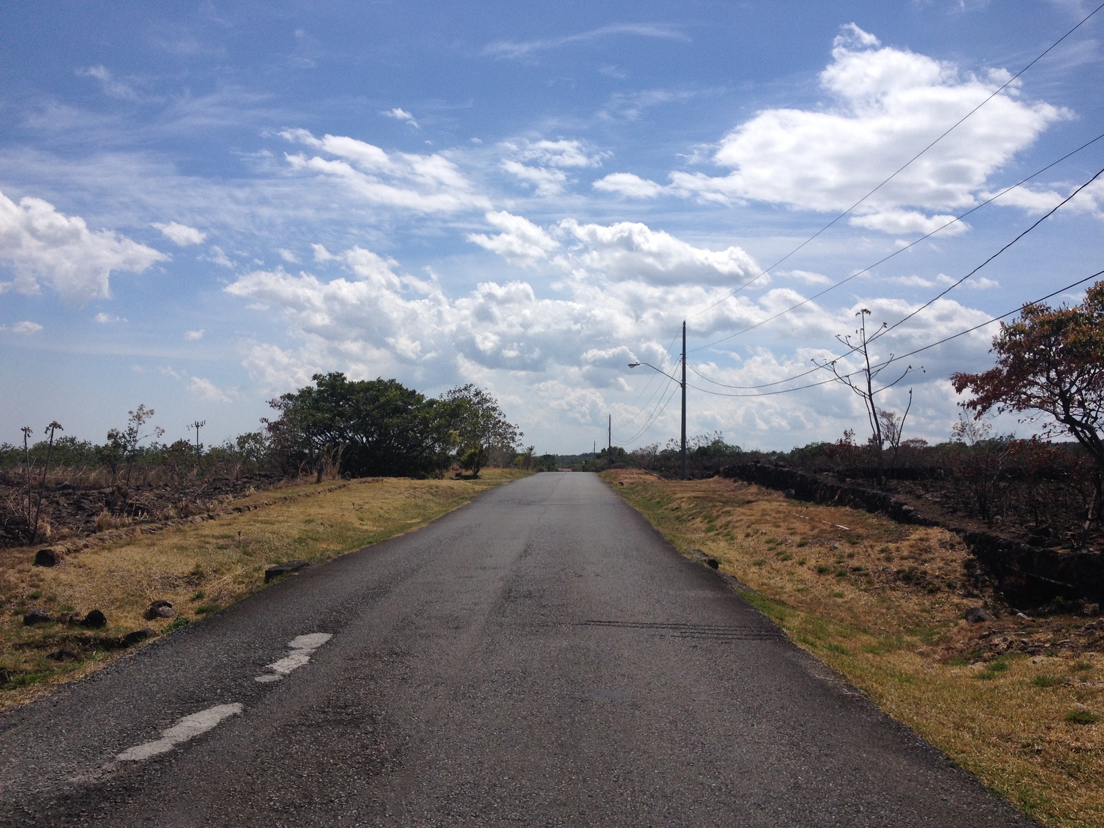 รูปถ่าย ปานามา(Panama) โบเกเต(Boquete) 2015-03 162