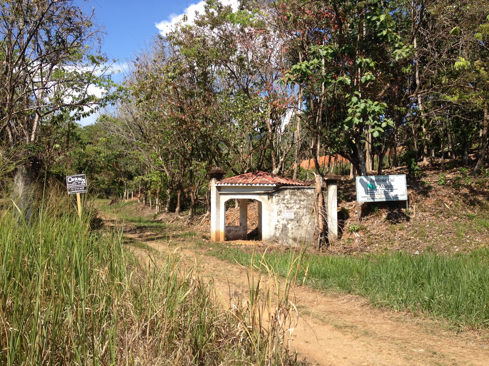 รูปถ่าย คอสตาริกา(Costa Rica) อูบีตา(Uvita) 2015-03 27
