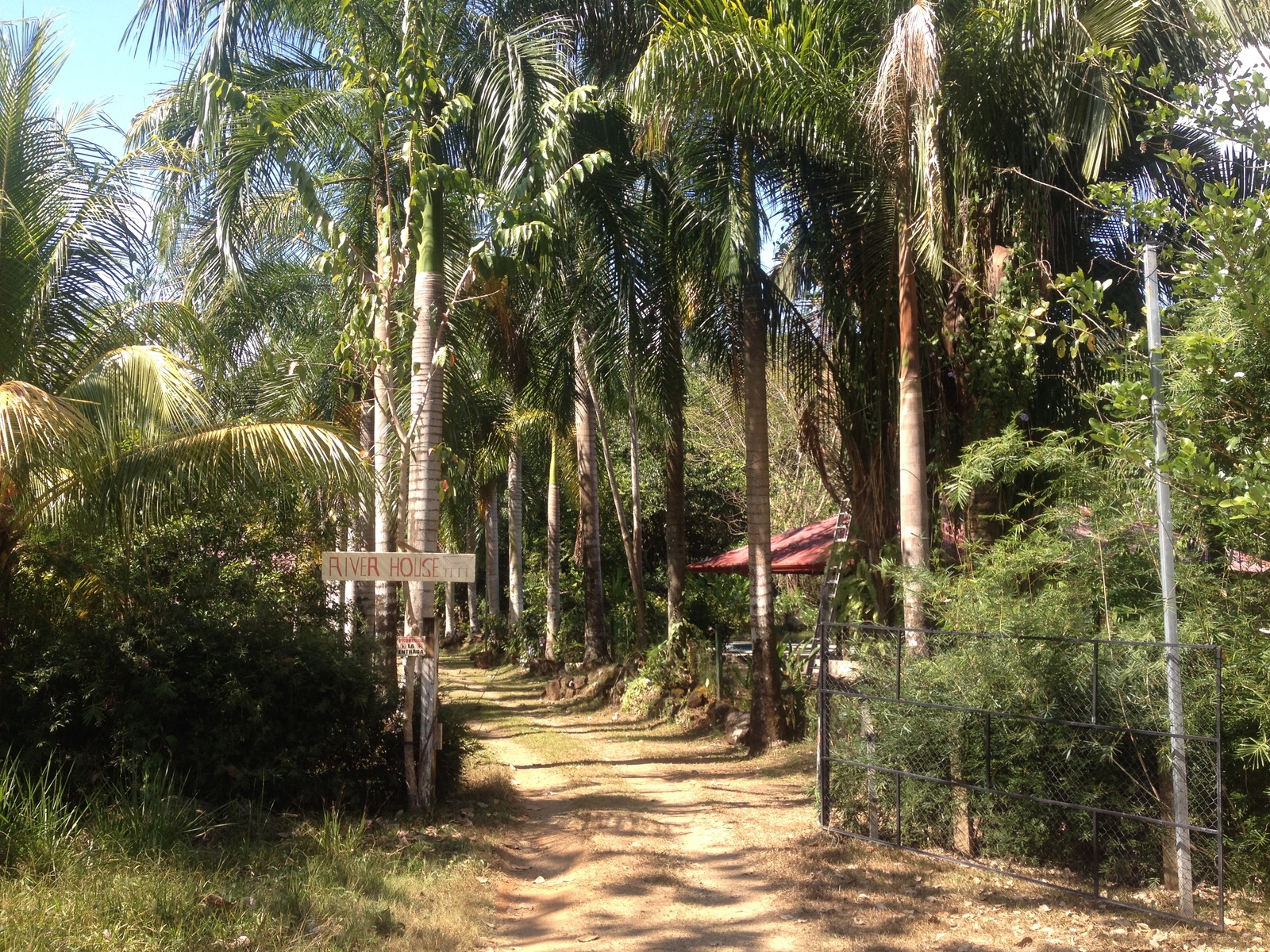 รูปถ่าย คอสตาริกา(Costa Rica) อูบีตา(Uvita) 2015-03 42