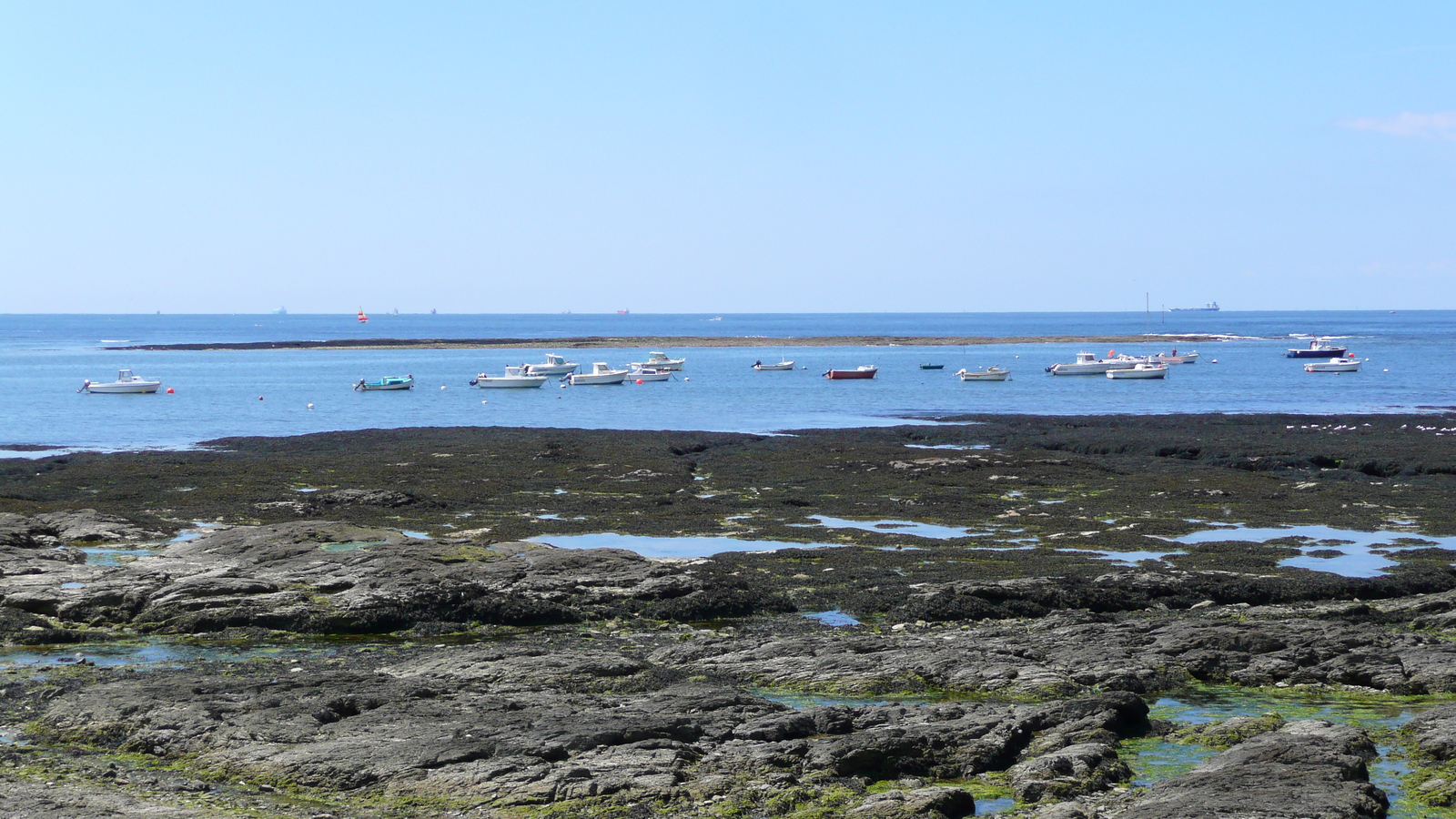 รูปถ่าย ฝรั่งเศส(France) เพรฟาย(Prefailles) จากแหลมแซ็ง-ฌีลดาไปลาเปร(La pointe Saint Gildas to La Pree) 2007-08 8