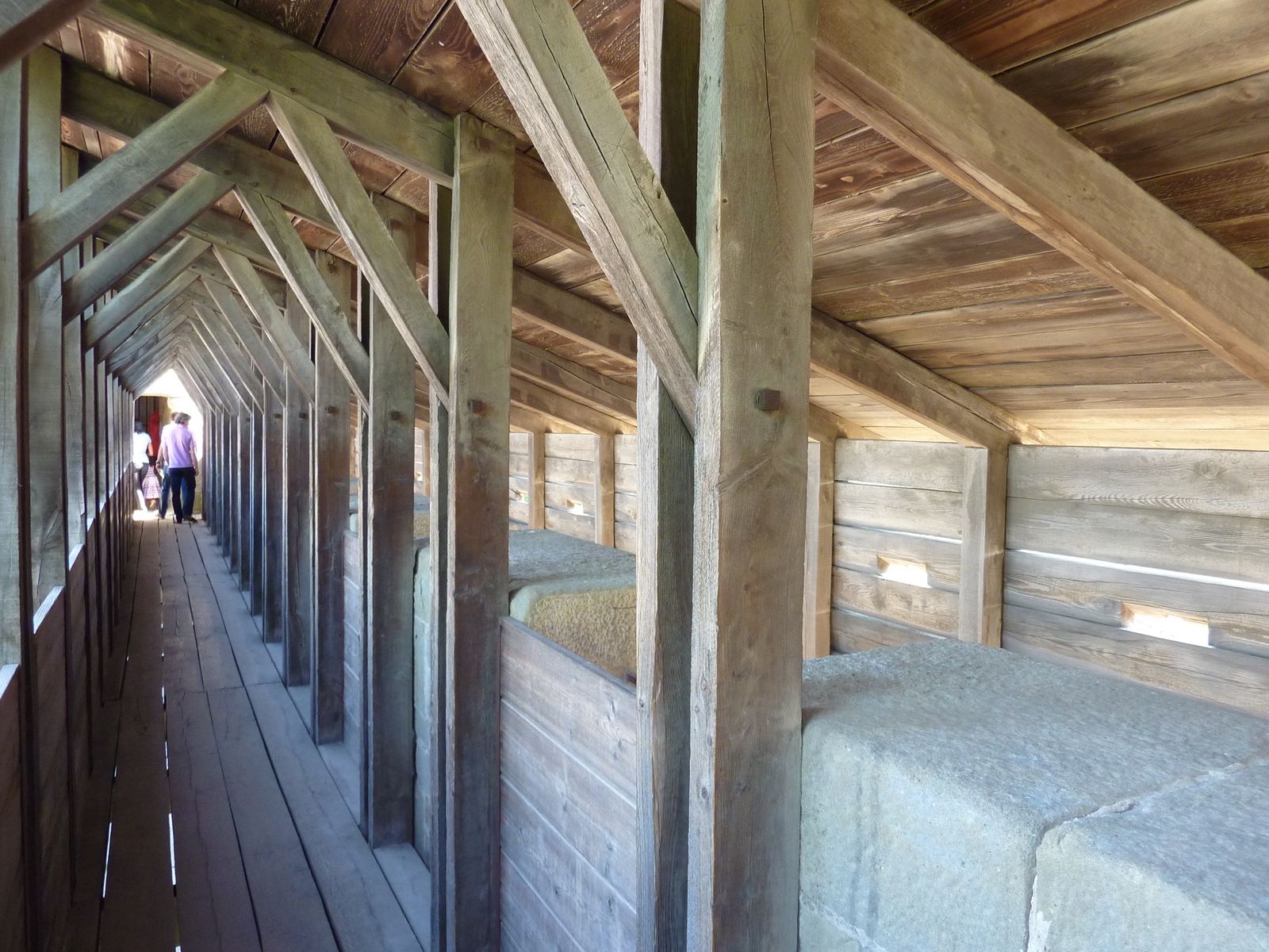 รูปถ่าย ฝรั่งเศส(France) การ์กาซอน(Carcassonne) 2009-07 111