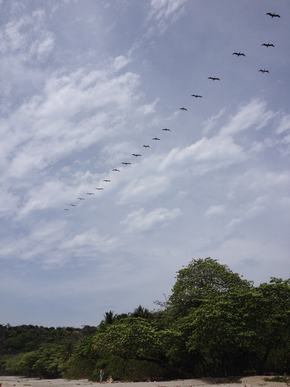 รูปถ่าย คอสตาริกา(Costa Rica) มอนเตซูมา(Montezuma) 2015-03 571