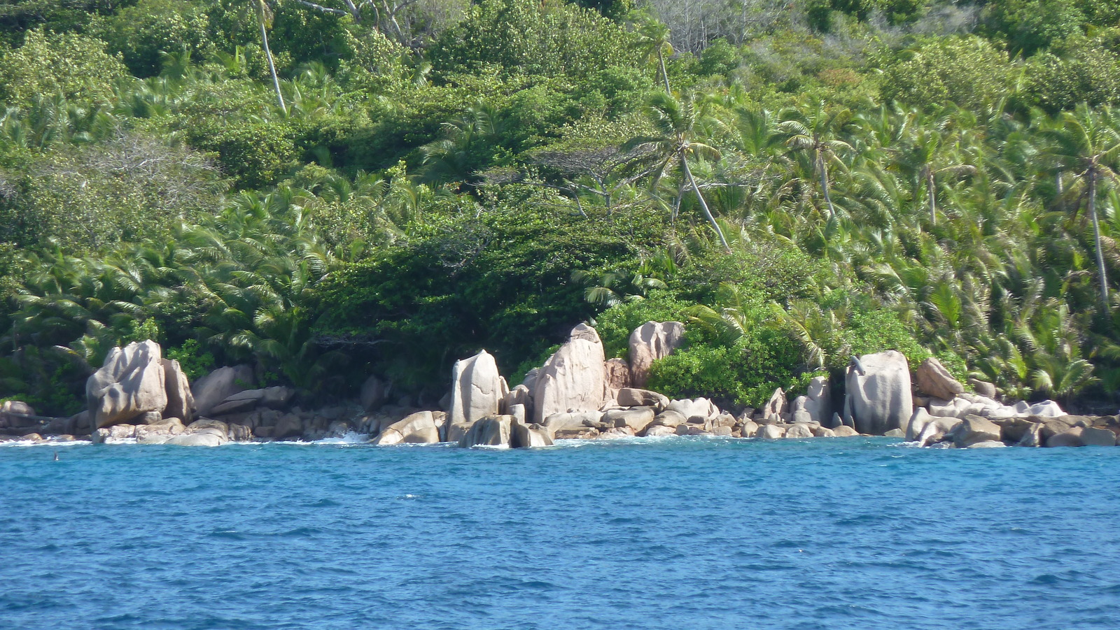 รูปถ่าย เซเชลส์(Seychelles) เกาะกร็องด์เซอร์(Grande Soeur) 2011-10 50