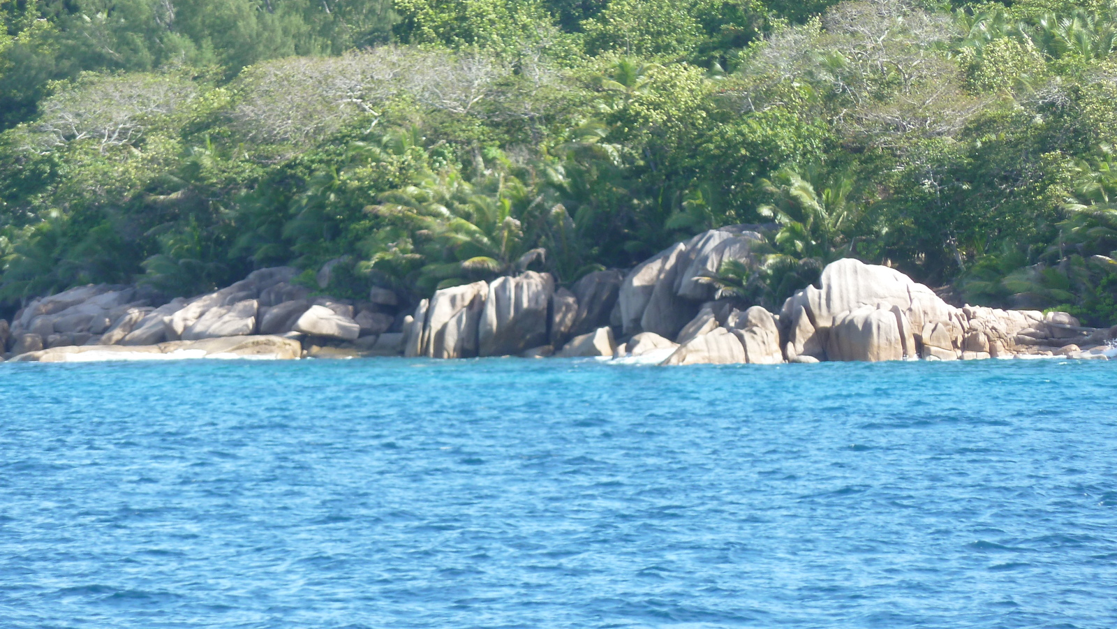 รูปถ่าย เซเชลส์(Seychelles) เกาะกร็องด์เซอร์(Grande Soeur) 2011-10 48