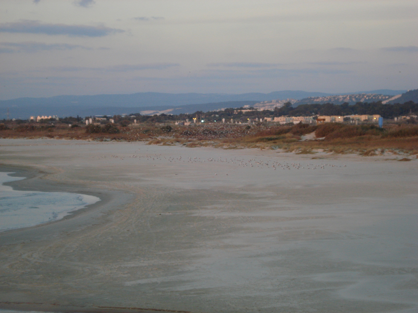 รูปถ่าย อิสราเอล(Israel) จากไฮฟาไปเทลอาวีฟ(From Haifa to Tel Aviv) 2006-12 48