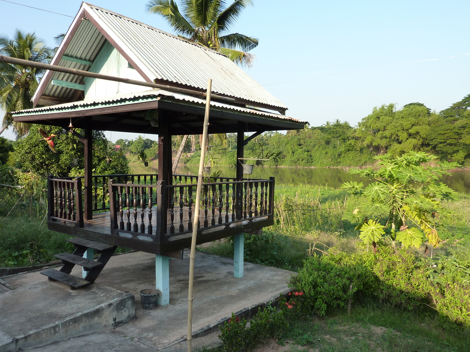 รูปถ่าย ไทย(Thailand) พิษณุโลก(Phitsanulok) จอมทอง(Chom Thong) 2009-12 48
