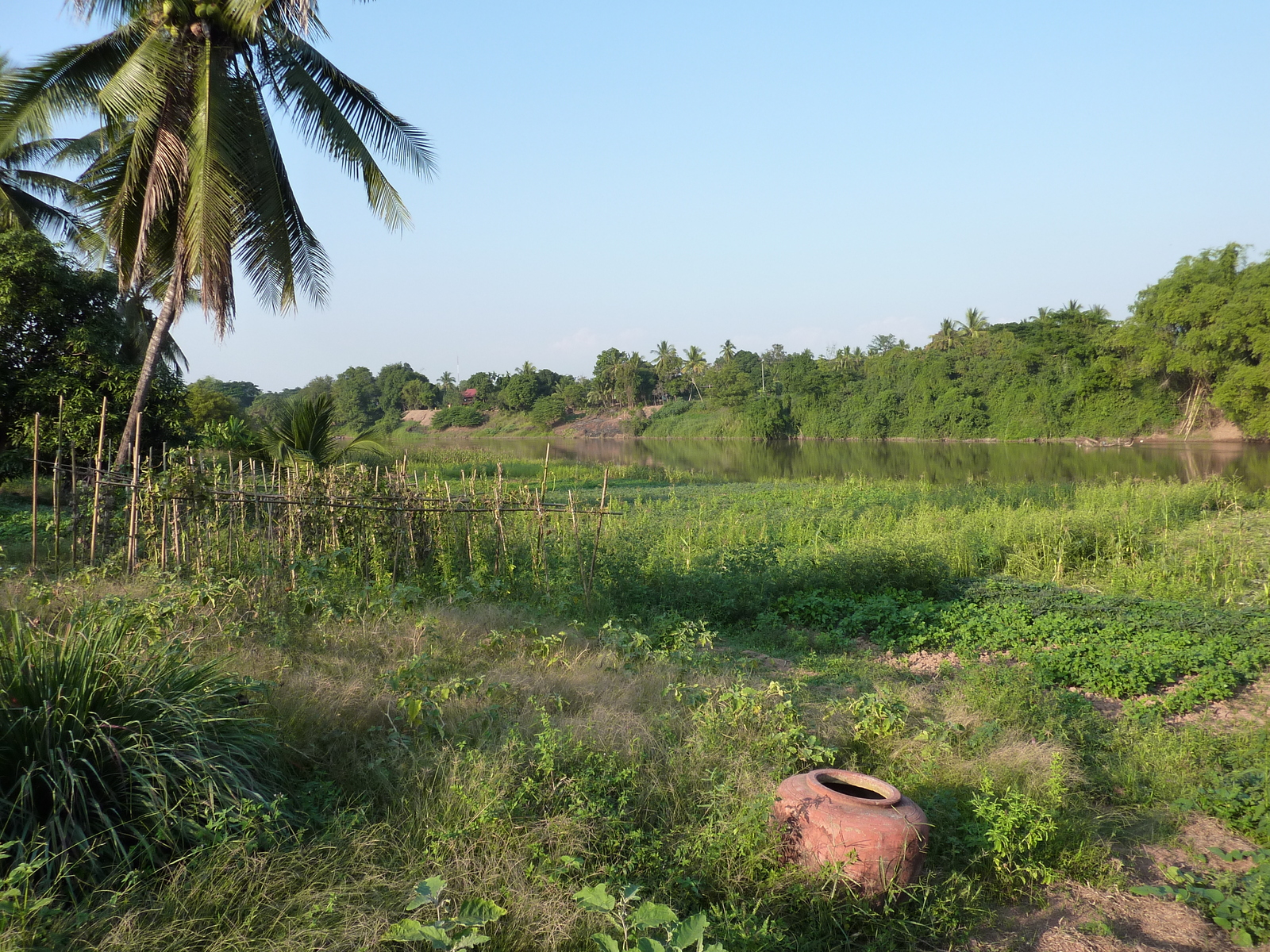 รูปถ่าย ไทย(Thailand) พิษณุโลก(Phitsanulok) จอมทอง(Chom Thong) 2009-12 45