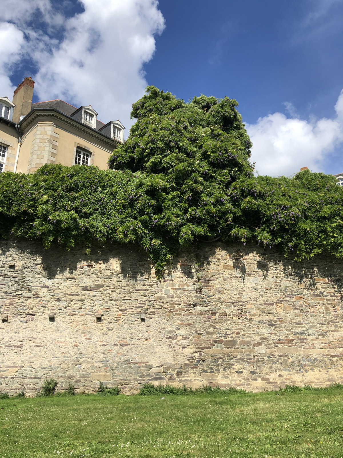 รูปถ่าย ฝรั่งเศส(France) แรน(Rennes) 2020-06 33