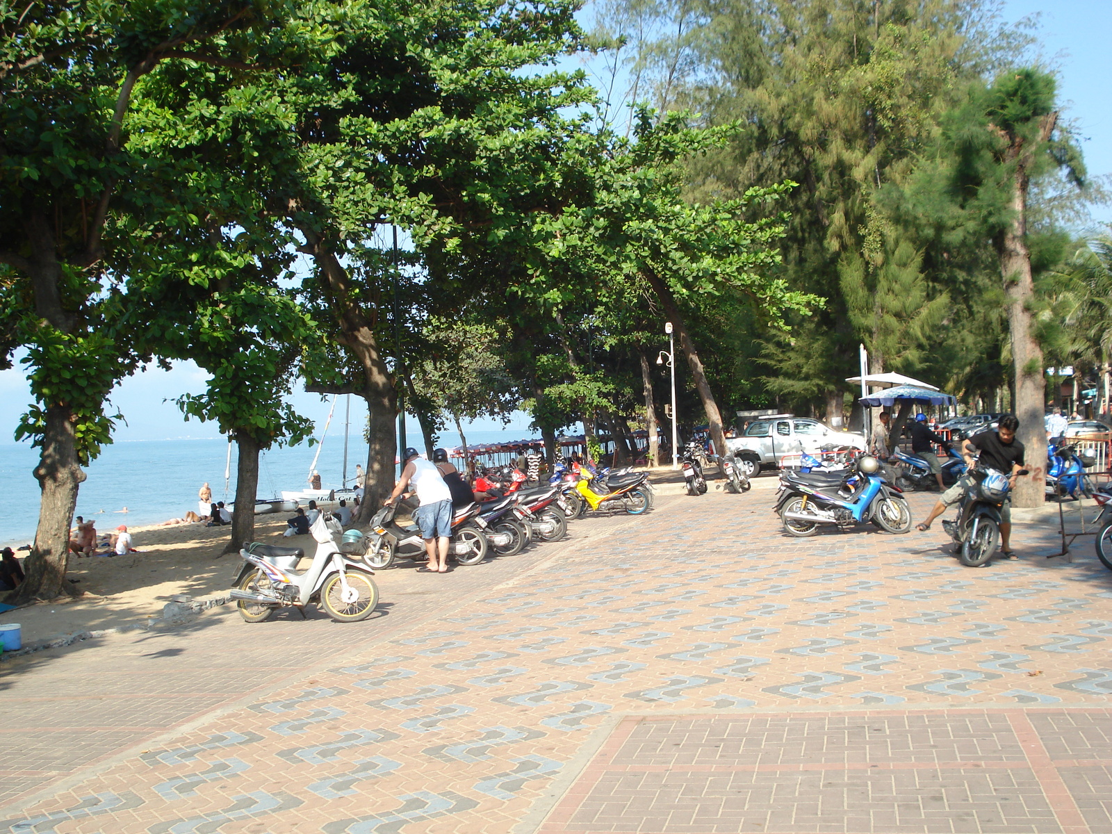 รูปถ่าย ไทย(Thailand) พัทยา(Pattaya) หาดดงตาล(Dongtan beach) 2008-01 14