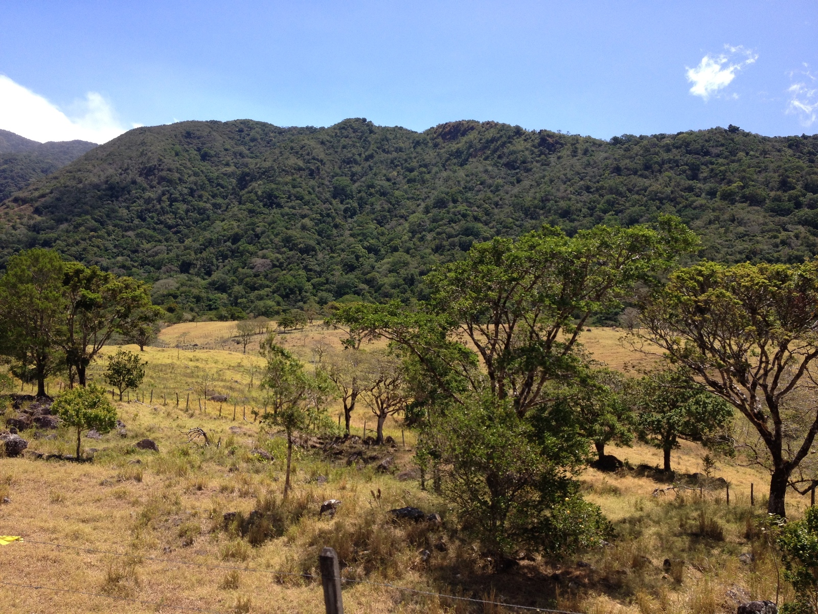 รูปถ่าย ปานามา(Panama) จากดาบิดไปโบกัสเดลโตโร(David to Bocas del toro) 2015-03 111