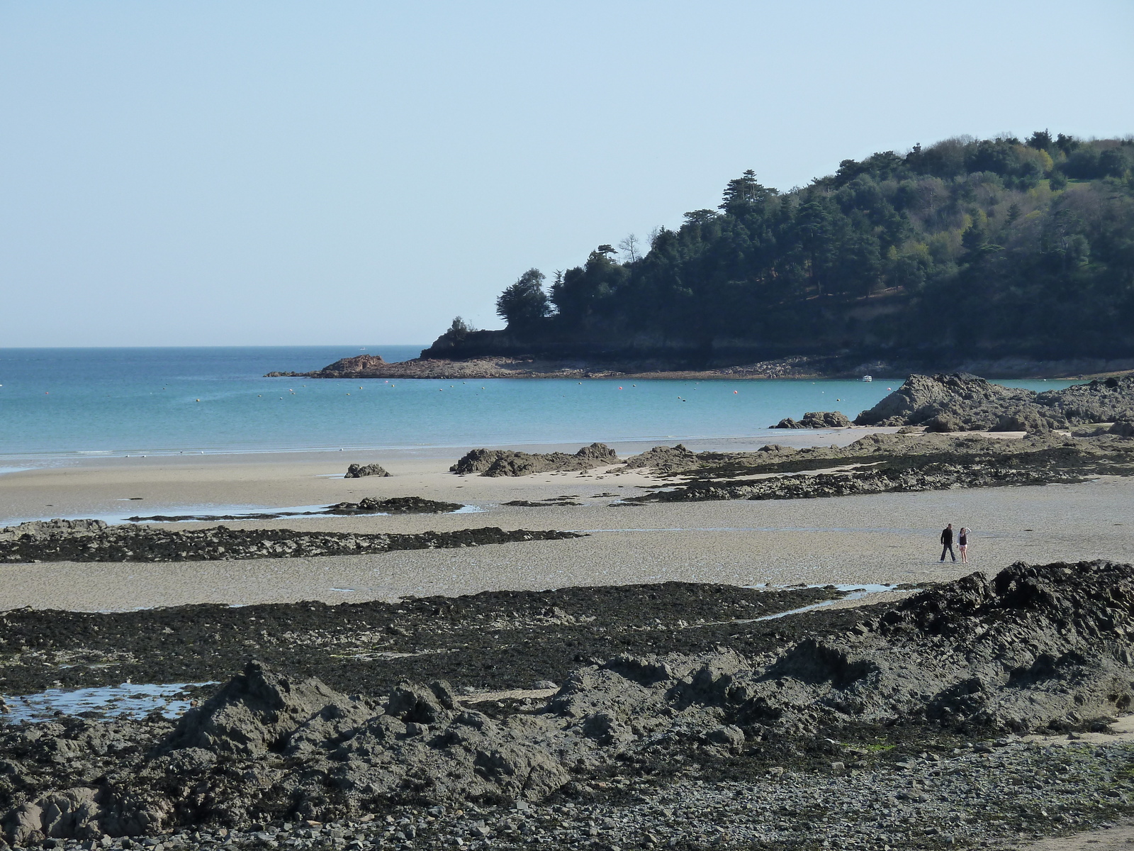 รูปถ่าย เจอร์ซีย์(Jersey) 2010-04 24