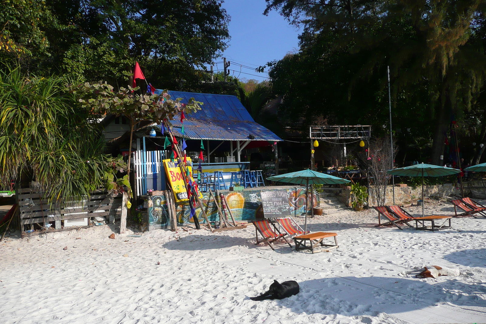 รูปถ่าย ไทย(Thailand) เกาะเสม็ด(Ko Samet) อ่าวไผ่(Ao Phai) 2009-01 26