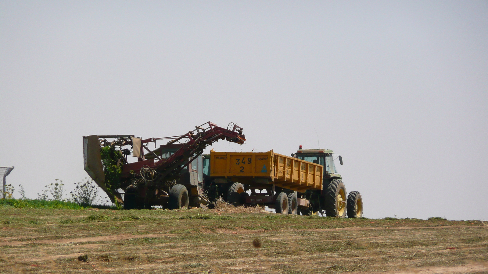 รูปถ่าย อิสราเอล(Israel) ถนนจากอัชเคลอนไปอาราด(Ashkelon to Arad road) 2007-06 38