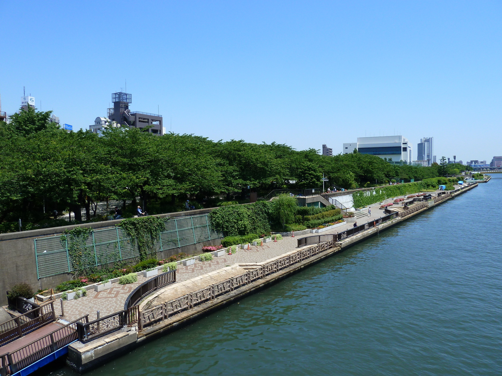รูปถ่าย ญี่ปุ่น(Japan) โตเกียว(Tokyo) ซุมิดะ(Sumida) 2010-06 7