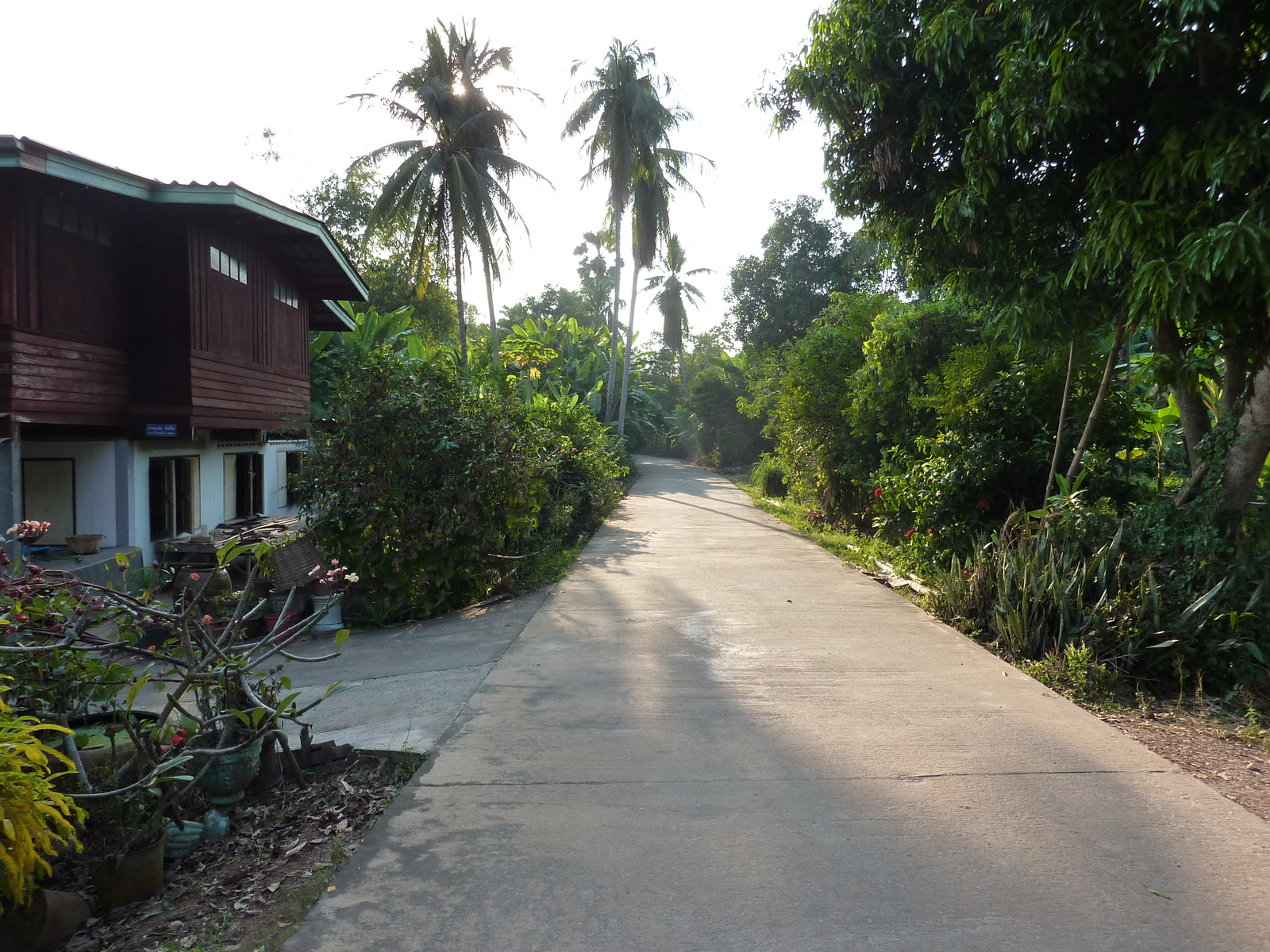 รูปถ่าย ไทย(Thailand) พิษณุโลก(Phitsanulok) จอมทอง(Chom Thong) 2009-12 21