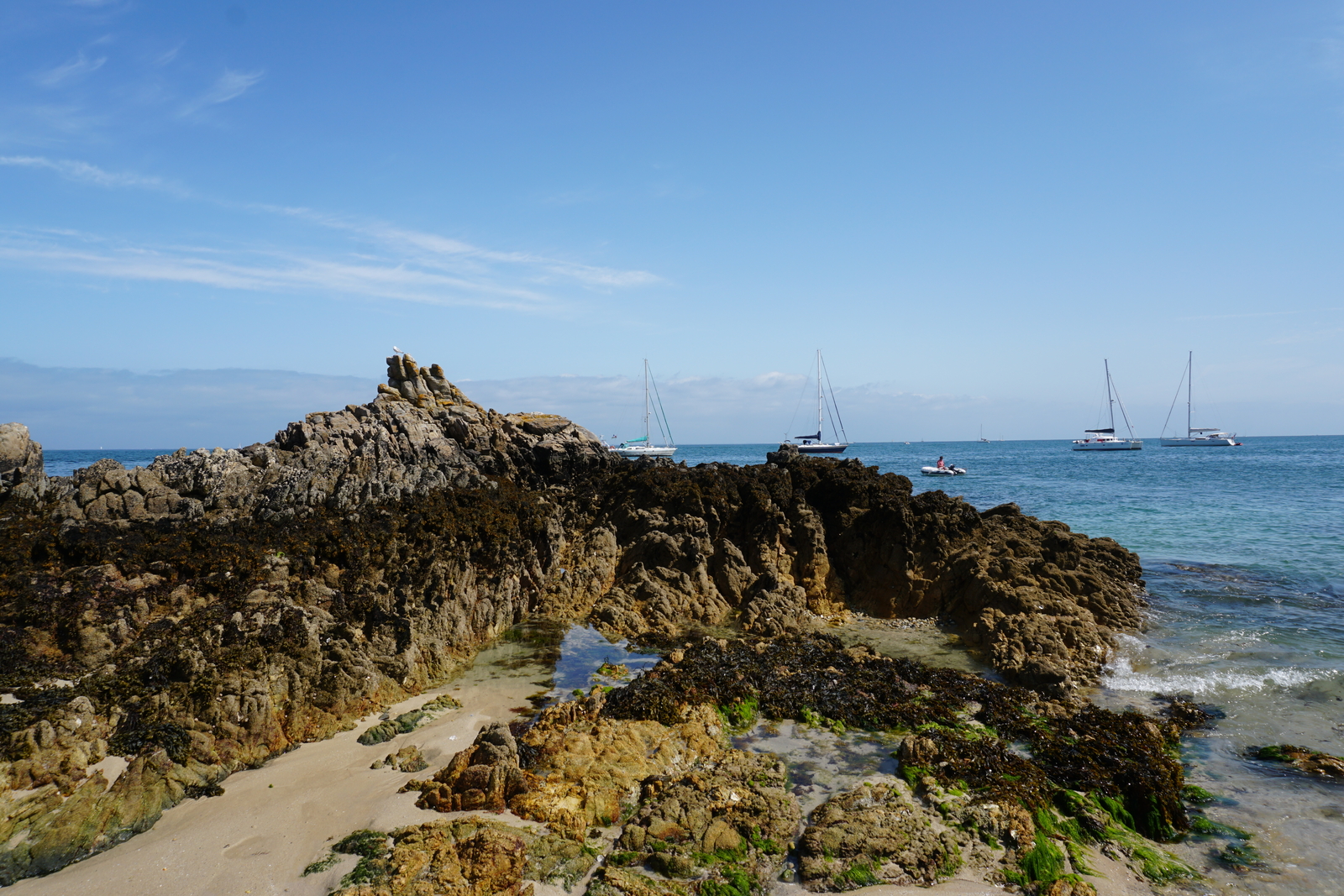 รูปถ่าย ฝรั่งเศส(France) เกาะเอดิก(Hoedic) 2016-08 87