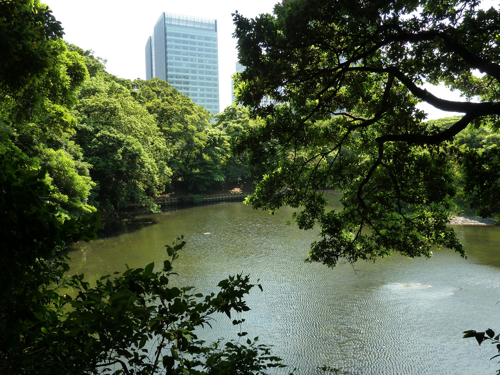 รูปถ่าย ญี่ปุ่น(Japan) โตเกียว(Tokyo) สวนฮามะริคิว(Hama rikyu Gardens) 2010-06 72