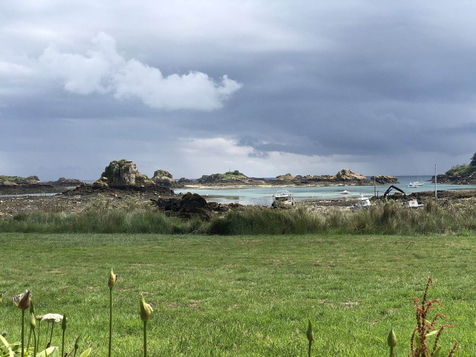 รูปถ่าย ฝรั่งเศส(France) เกาะเบรอา(Brehat Island) 2020-06 191