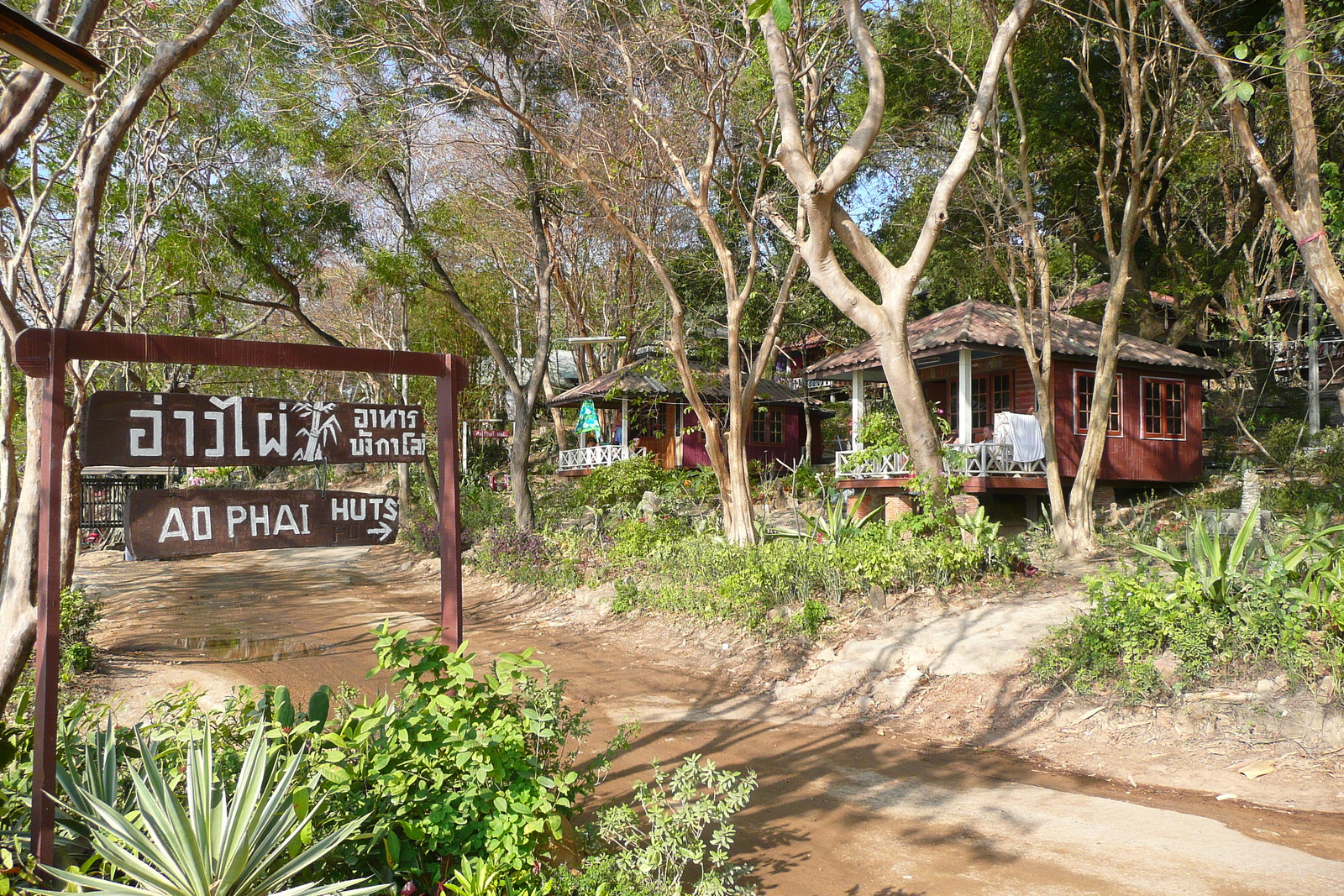 รูปถ่าย ไทย(Thailand) เกาะเสม็ด(Ko Samet) อ่าวไผ่(Ao Phai) 2009-01 31