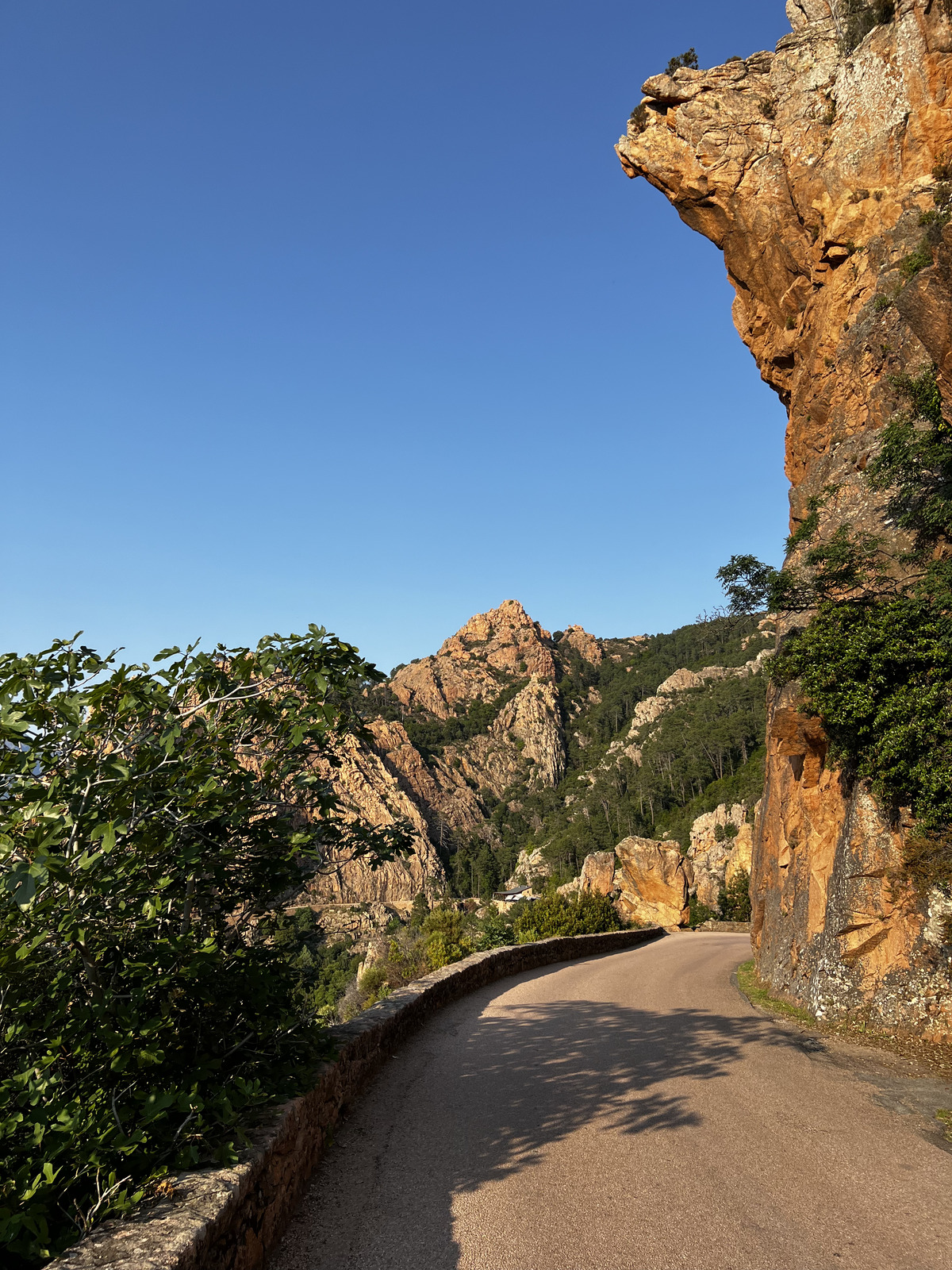 รูปถ่าย ฝรั่งเศส(France) คอร์สิคา(Corsica) หน้าผากาลังก์เดอเปียนา(Calanques de Piana) 2023-06 43