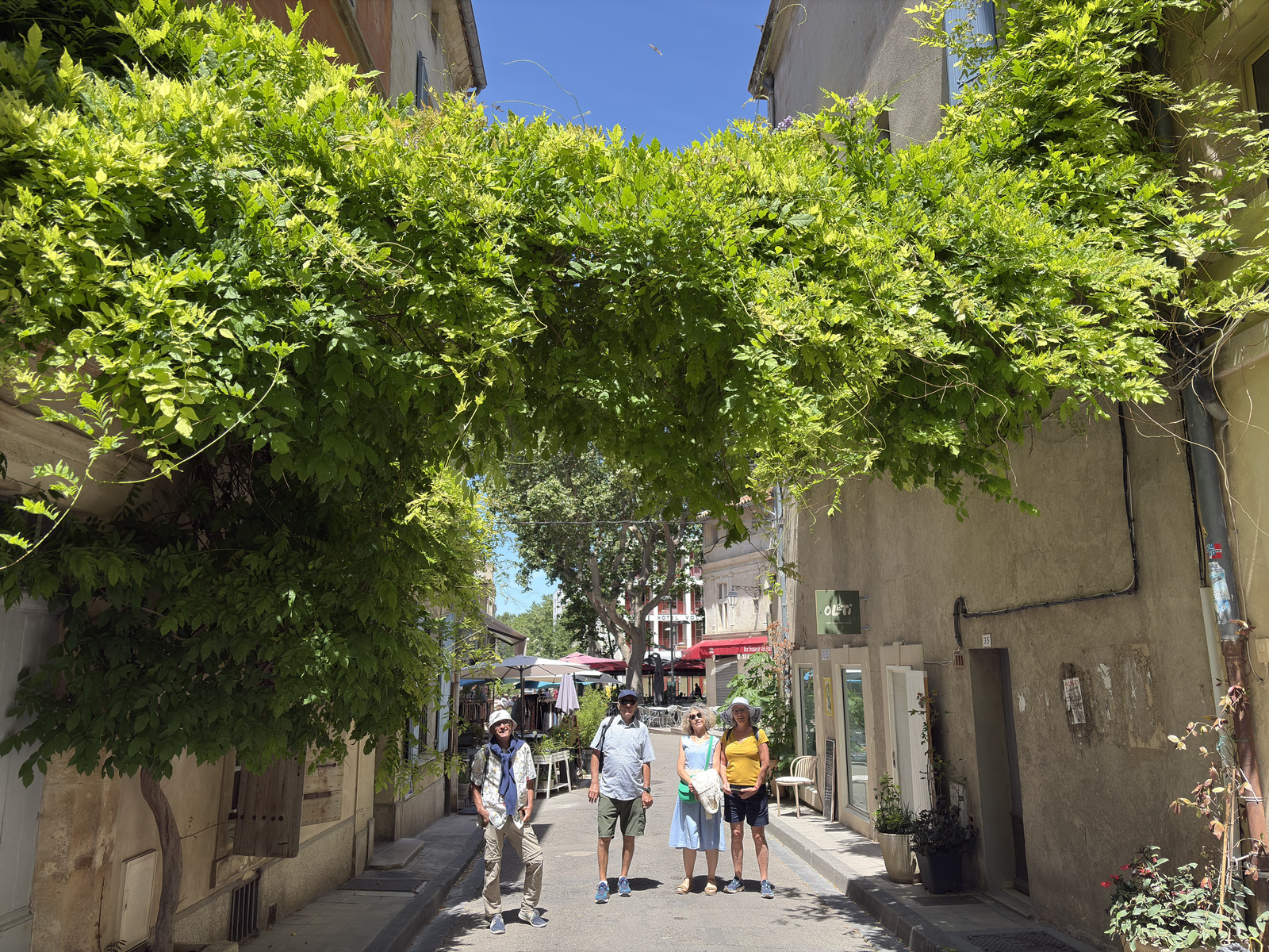 รูปถ่าย ฝรั่งเศส(France) อาร์เลอ(Arles) 2026-06 65