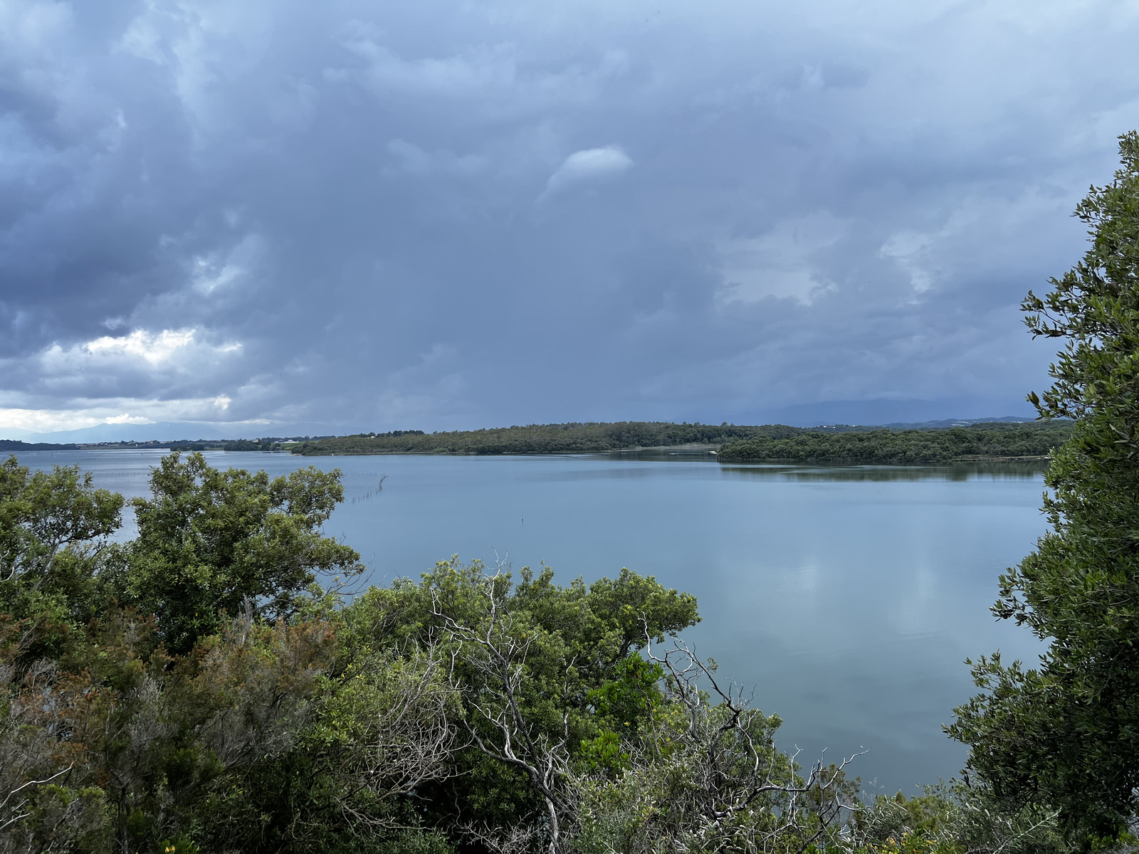 รูปถ่าย ฝรั่งเศส(France) คอร์สิคา(Corsica) บึงดียาน(Etang de Diane) 2023-06 0