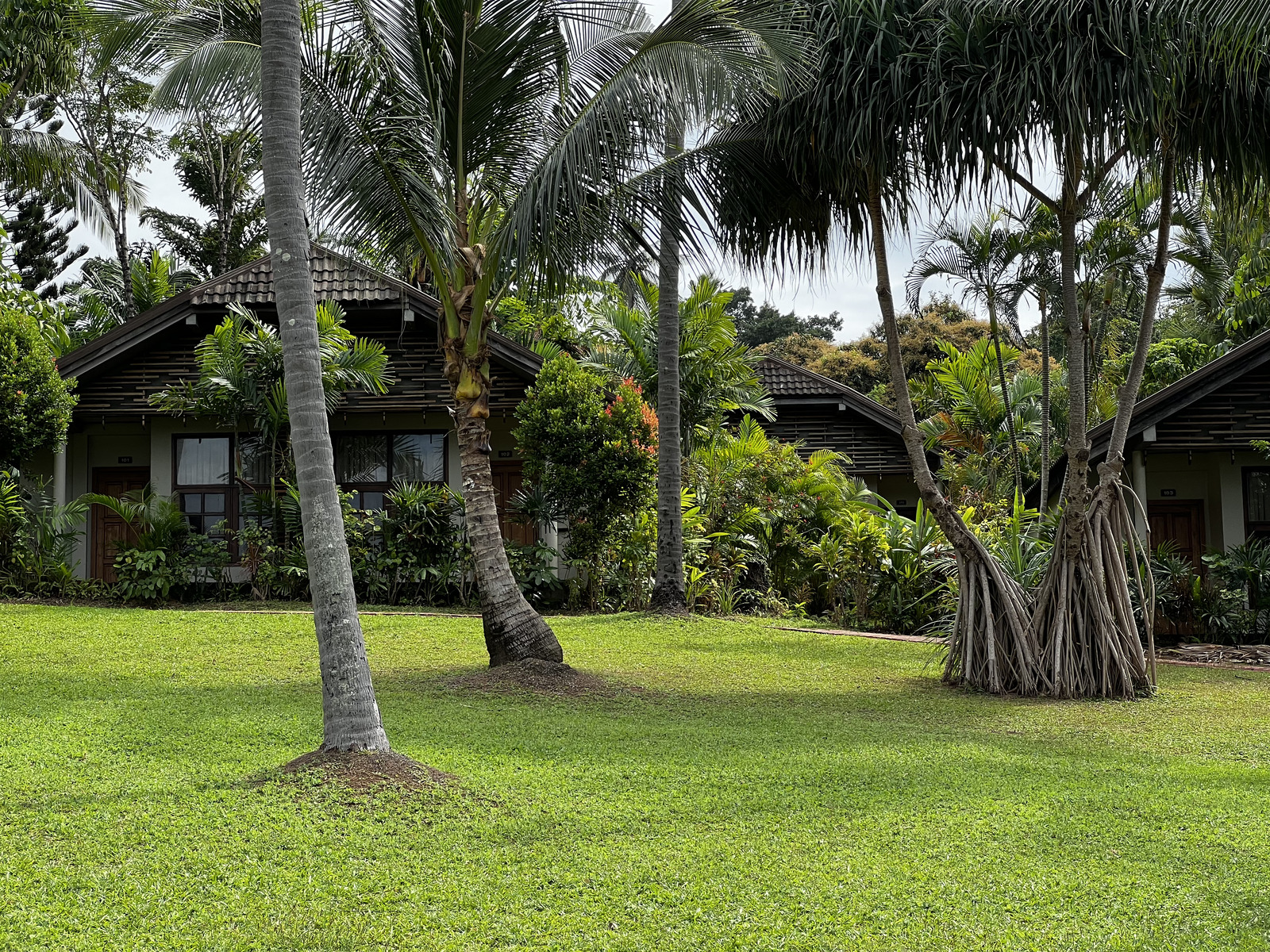รูปถ่าย ไทย(Thailand) ภูเก็ต(Phuket) หาดกะรน(Karon Beach) ร้านอาหารออนเดอะร็อก(On the rock Restaurant) 2021-12 58