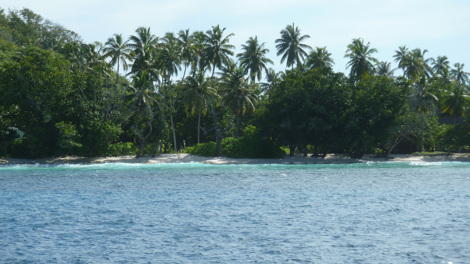 รูปถ่าย เซเชลส์(Seychelles) เกาะกร็องด์เซอร์(Grande Soeur) 2011-10 43
