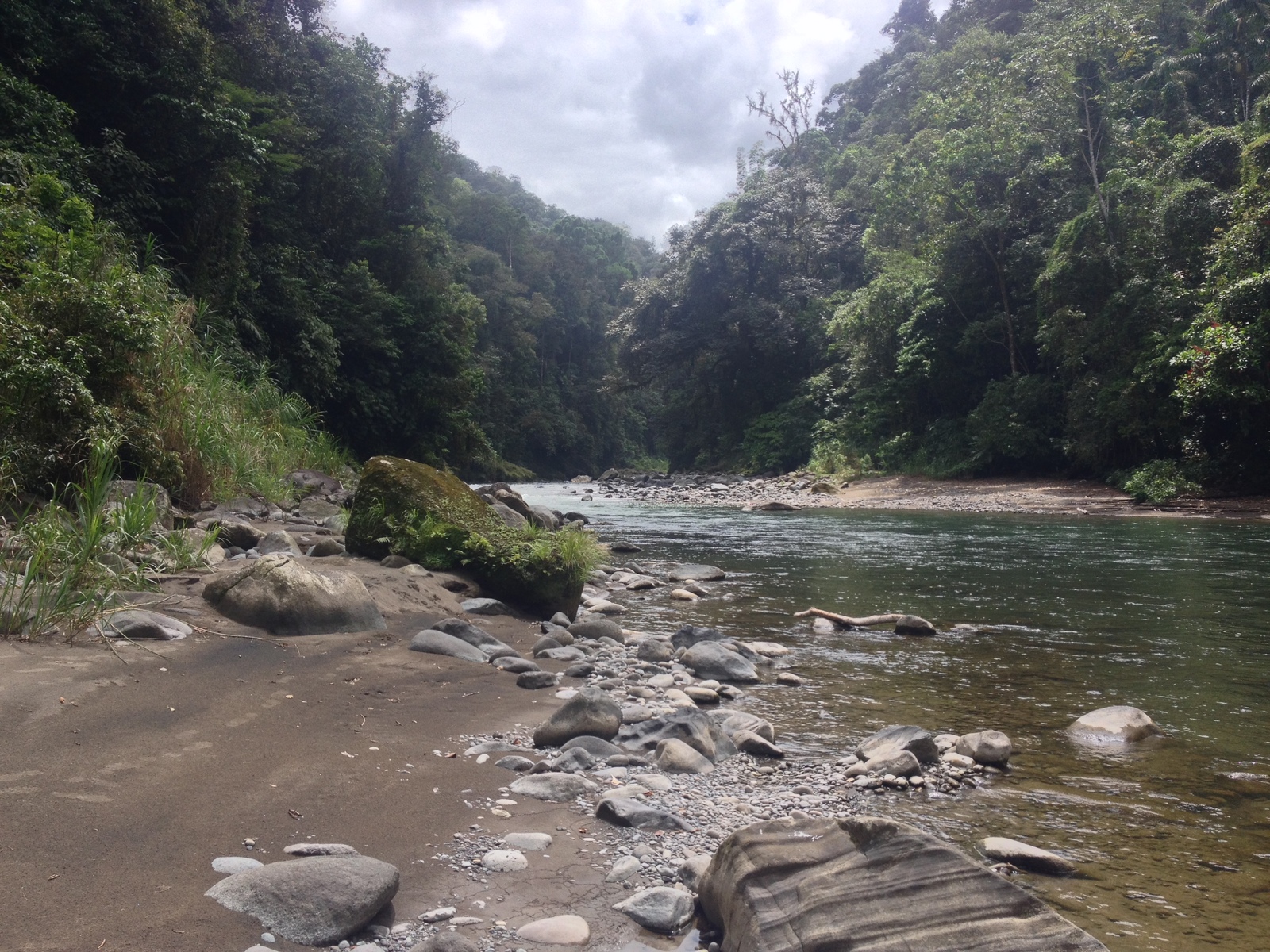 รูปถ่าย คอสตาริกา(Costa Rica) แม่น้ำปากัวเร(Pacuare River) 2015-03 91