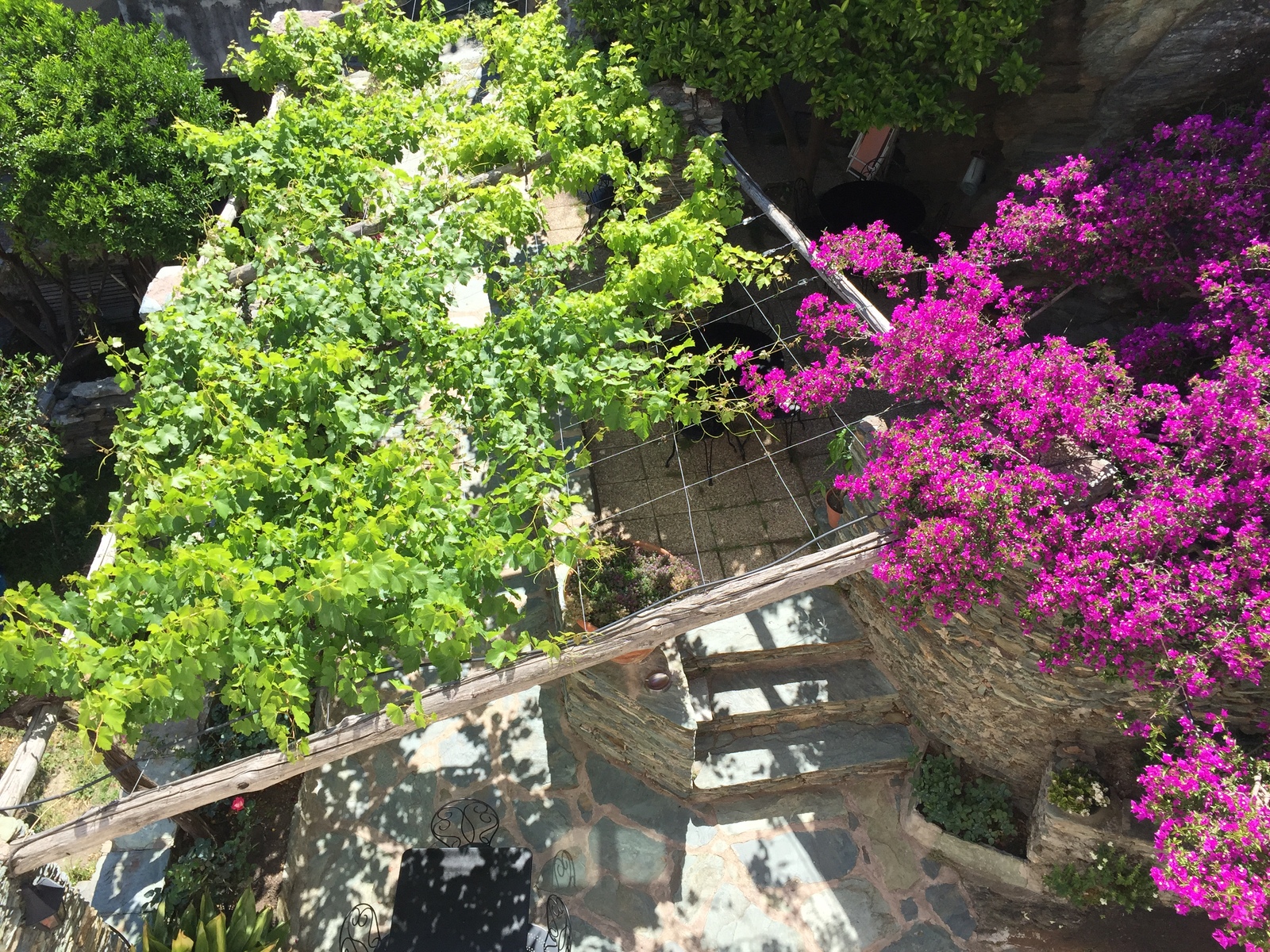 รูปถ่าย ฝรั่งเศส(France) คอร์สิคา(Corsica) นอนซา(Nonza) 2015-05 6