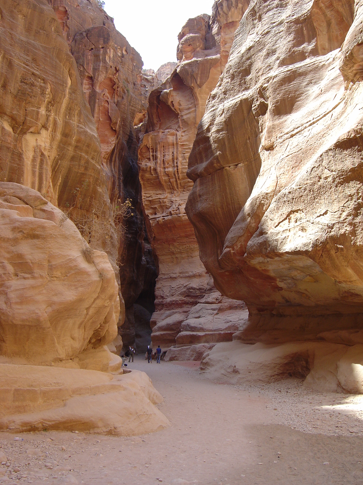 รูปถ่าย จอร์แดน(Jordan) เปตร้า(Petra) 2004-10 2