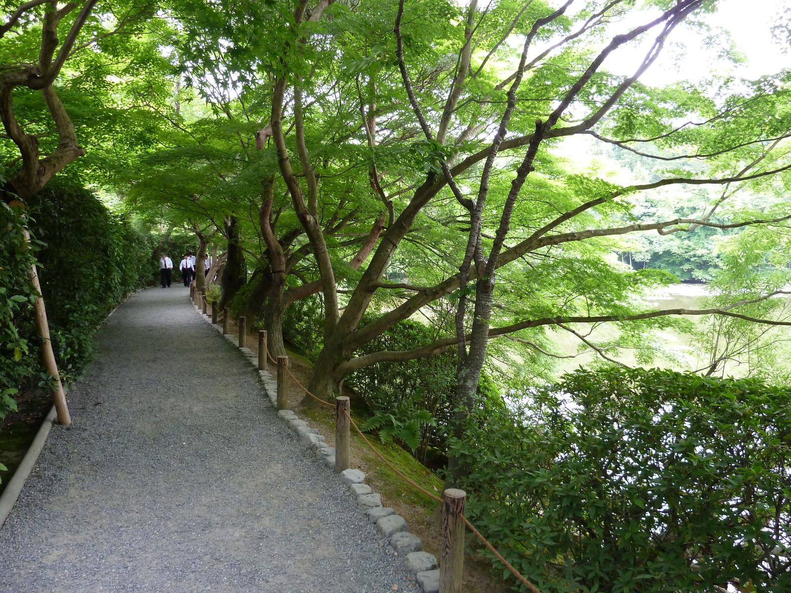 รูปถ่าย ญี่ปุ่น(Japan) เกียวโต(Kyoto) วัดเรียวอันจิ(Ryoanji Temple) 2010-06 48