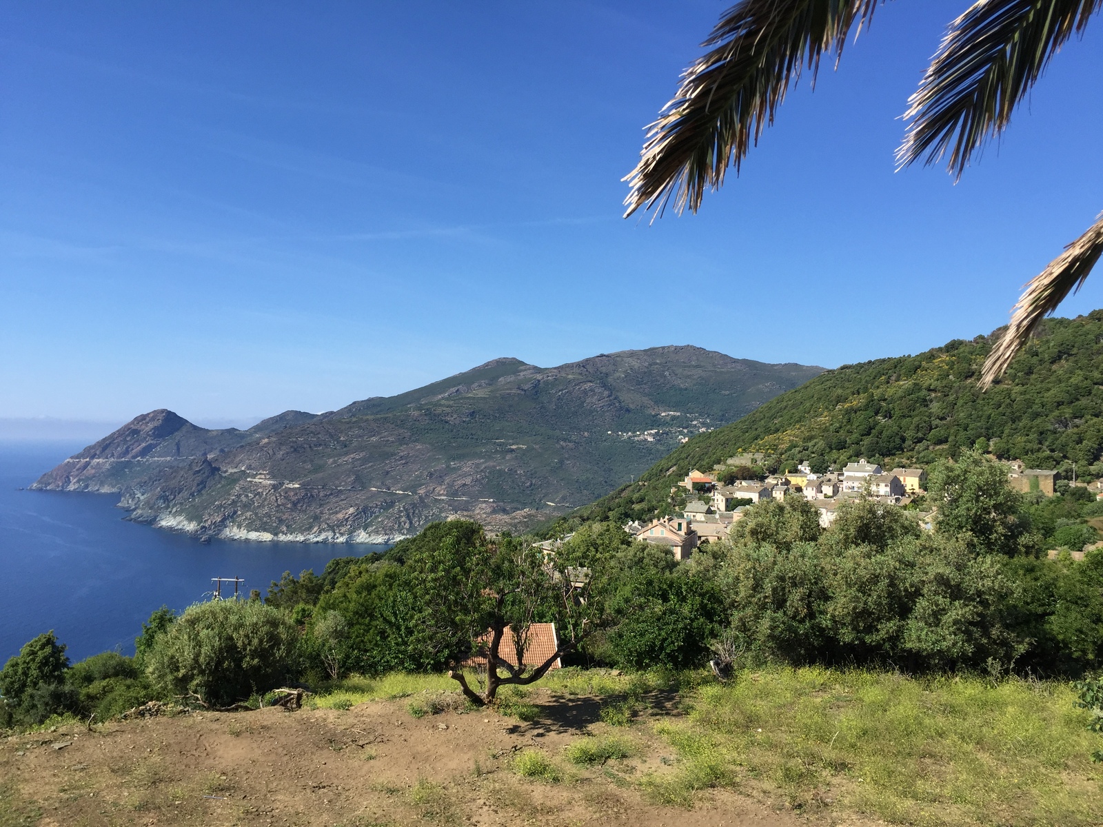 รูปถ่าย ฝรั่งเศส(France) คอร์สิคา(Corsica) แหลมคอร์ส(Corsican Cape) 2015-05 7
