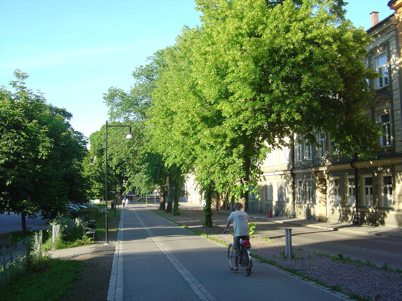 รูปถ่าย สวีเดน(Sweden) อัปป์ซาลา(Uppsala) 2005-06 29