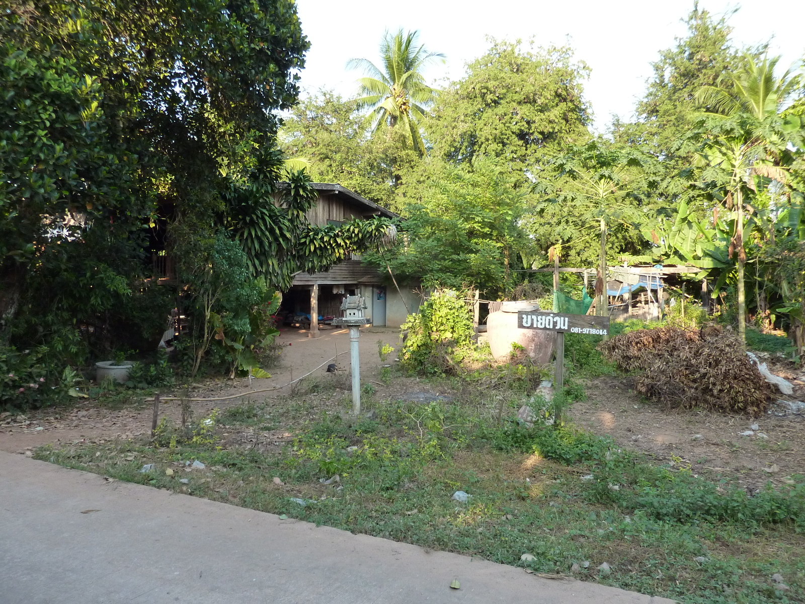 รูปถ่าย ไทย(Thailand) พิษณุโลก(Phitsanulok) จอมทอง(Chom Thong) 2009-12 17