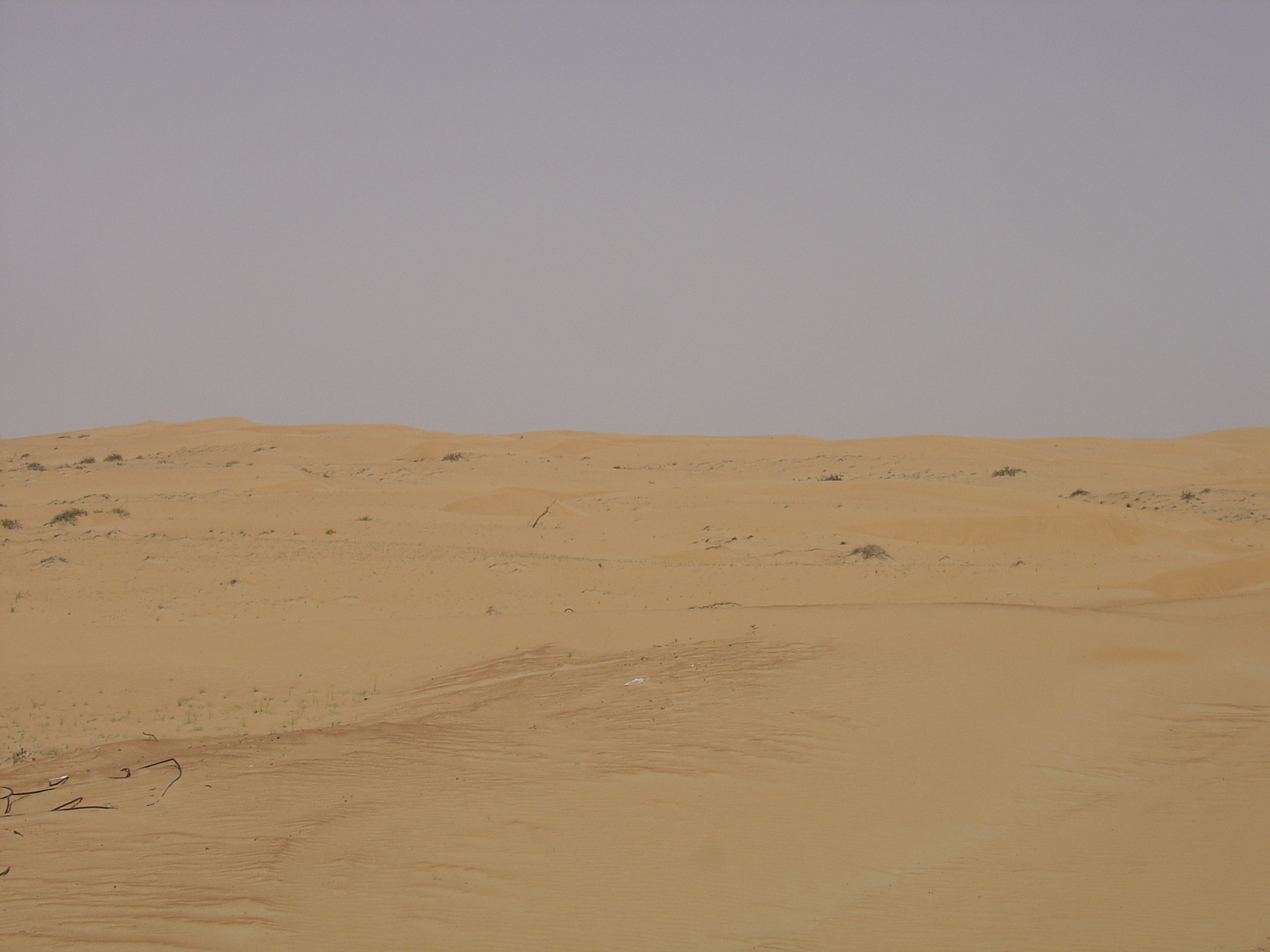 รูปถ่าย สหรัฐอาหรับเอมิเรตส์(United Arab Emirates) จากดูไบไปถนนอัลอิน(Dubai to Al Ain road) 2005-03 57