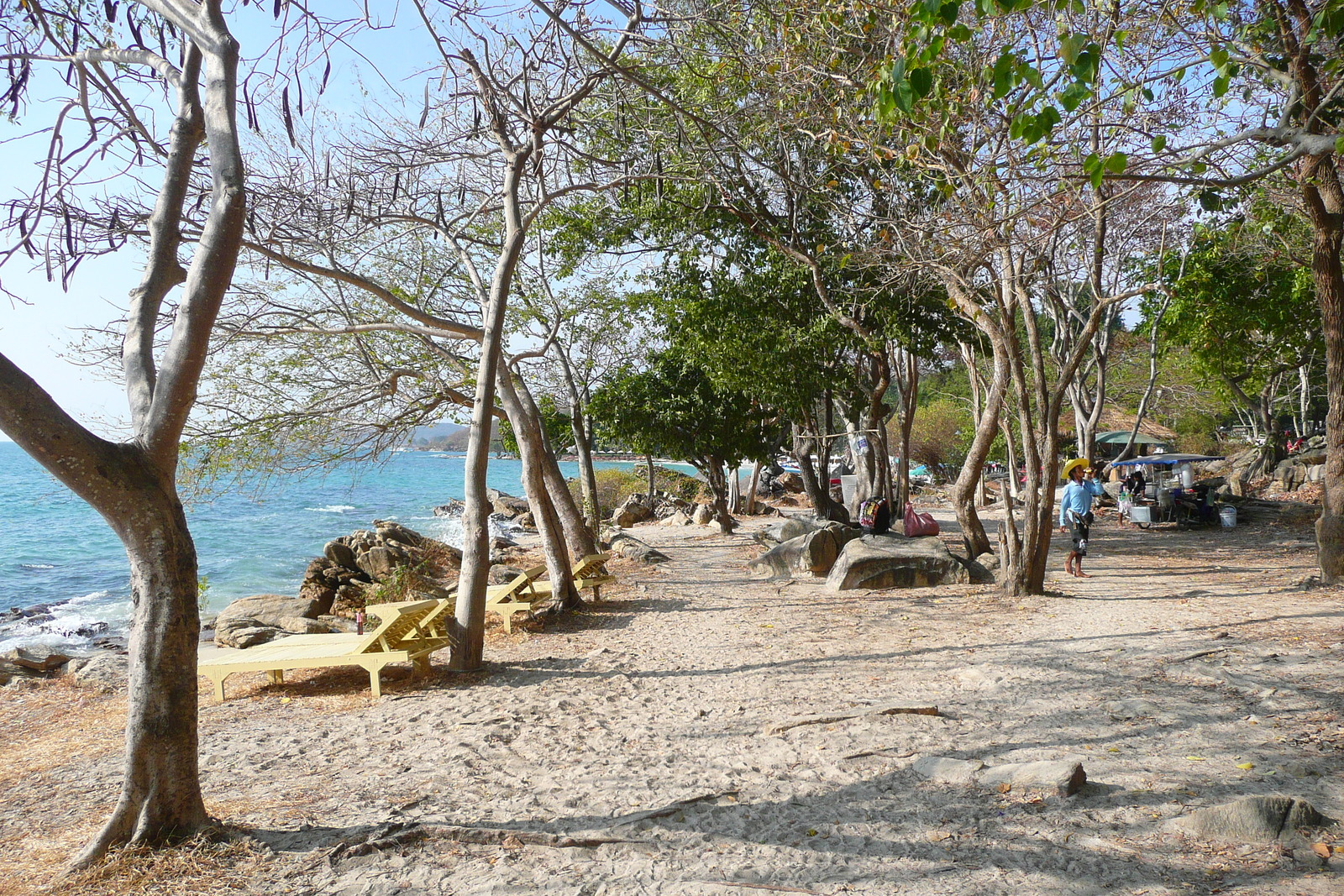 รูปถ่าย ไทย(Thailand) เกาะเสม็ด(Ko Samet) อ่าวไผ่(Ao Phai) 2009-01 12