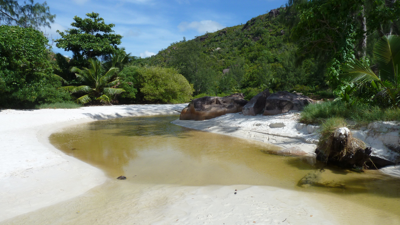 รูปถ่าย เซเชลส์(Seychelles) อ่าวอ็องส์ลาซิโอ(Anse Lazio) 2011-10 75