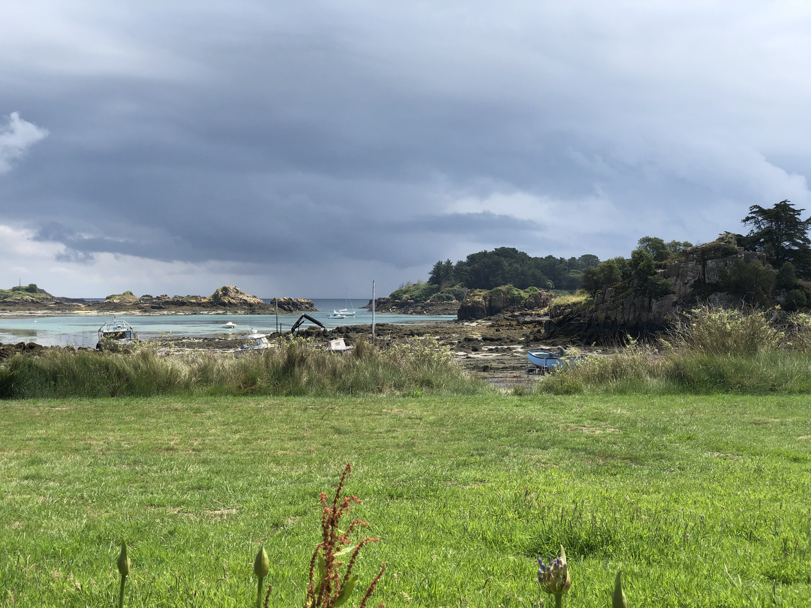 รูปถ่าย ฝรั่งเศส(France) เกาะเบรอา(Brehat Island) 2020-06 132