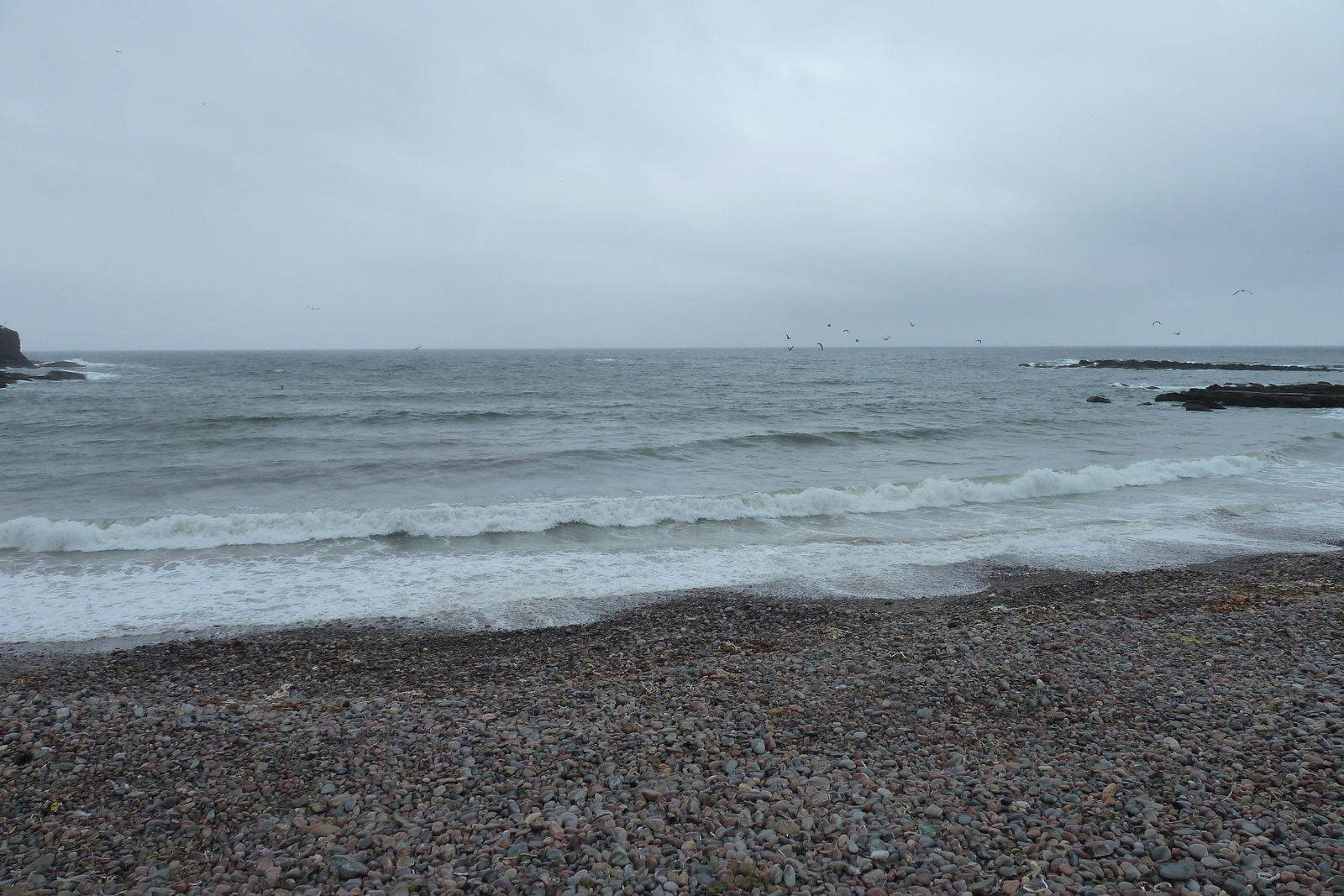 รูปถ่าย อังกฤษ(United Kingdom) สกอตแลนด์(Scotland) ชายฝั่งมอเรย์(Moray Coast) 2011-07 26