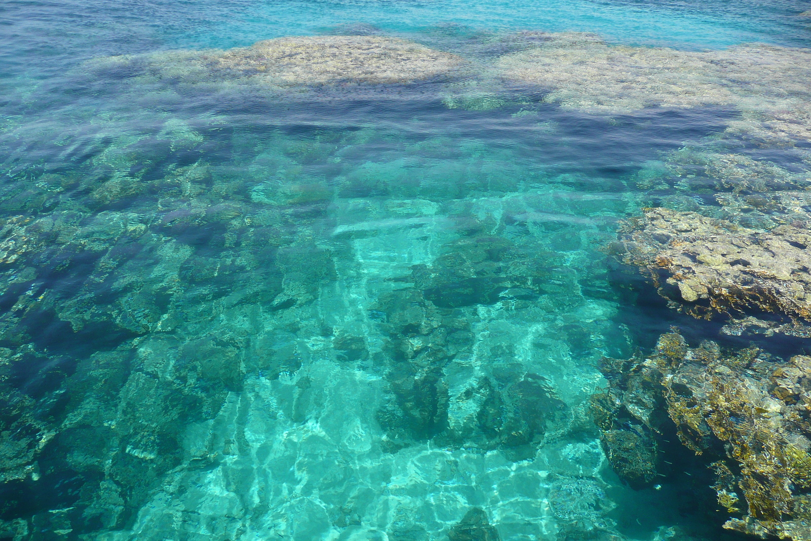รูปถ่าย อียิปต์(Egypt) ชาร์มเอลชีค(Sharm el Sheikh) โรงแรมไฮแอต(Hyatt Hotel) หาดไฮแอต ชาร์มเอลชีค(Hyatt Sharm el Sheikh Beach) 2008-06 22