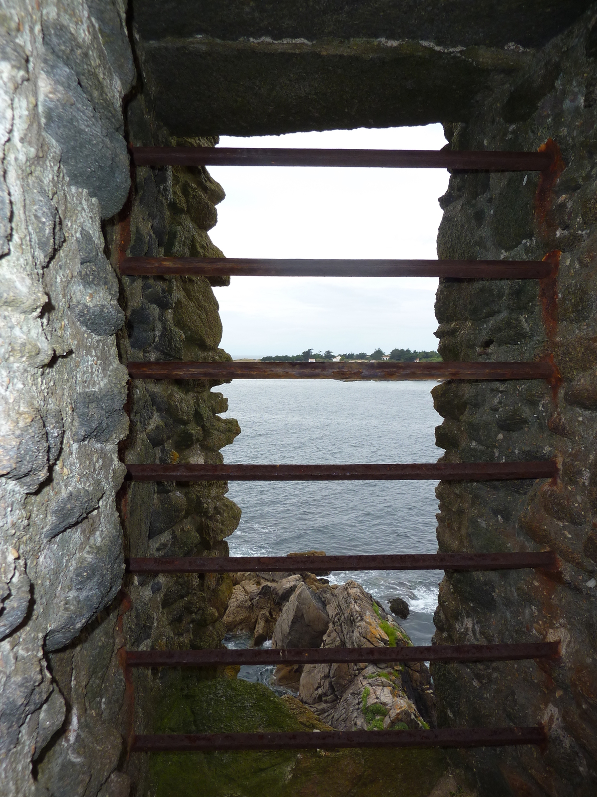 รูปถ่าย ฝรั่งเศส(France) เกาะดีเยอ(Ile d'yeu) 2009-07 153