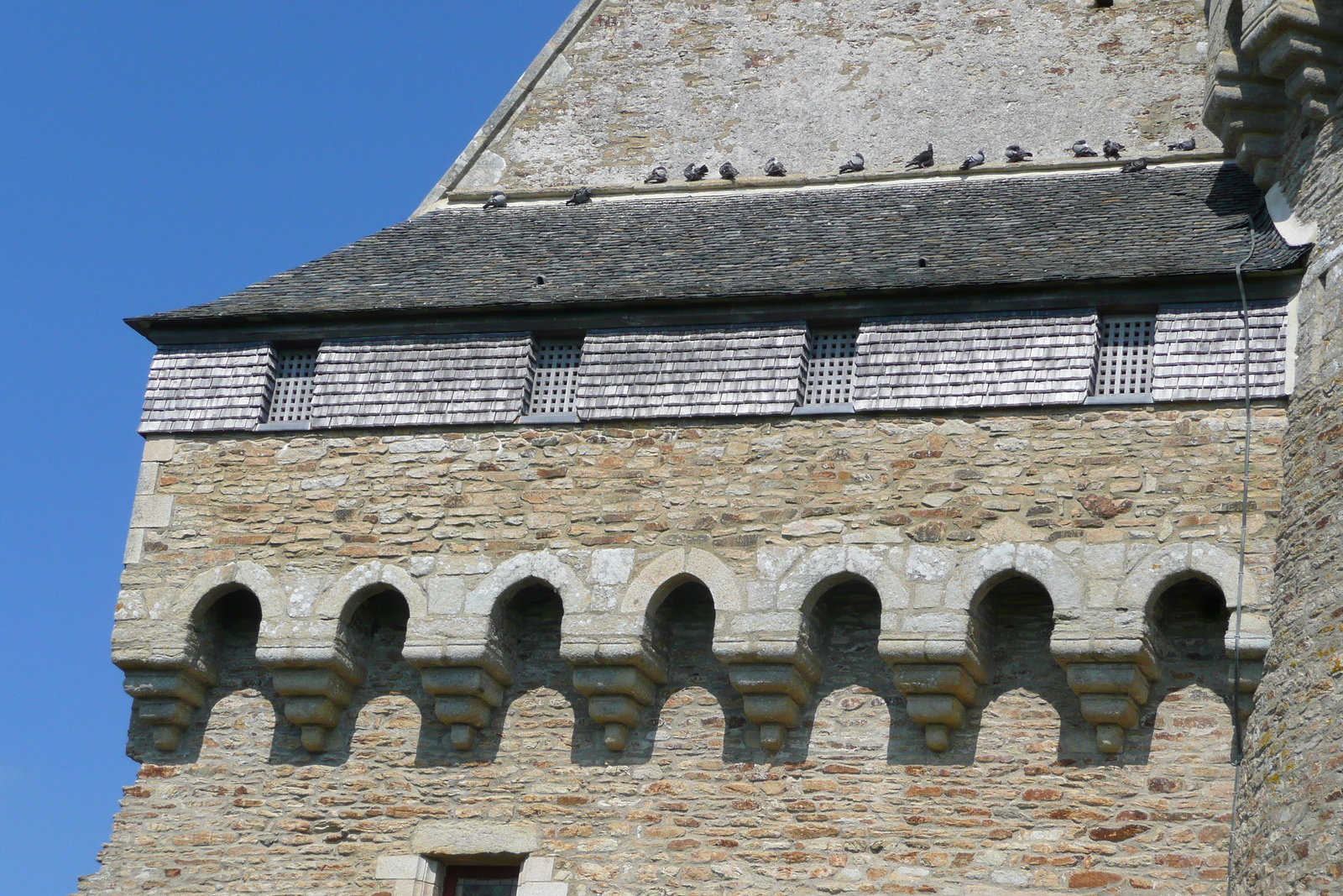 รูปถ่าย ฝรั่งเศส(France) ซืสซีนีโอ(Suscinio) ปราสาทซูซีนีโอ(Suscinio Castle) 2007-09 95
