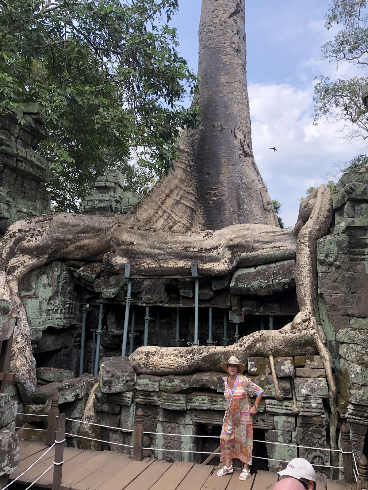 รูปถ่าย กัมพูชา(Cambodia) เสียมราฐ(Siem Reap) ปราสาทตาพรหม(Ta Prohm) 2023-01 78
